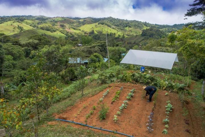 Finca Anjala - Architectural lodge on sustainable