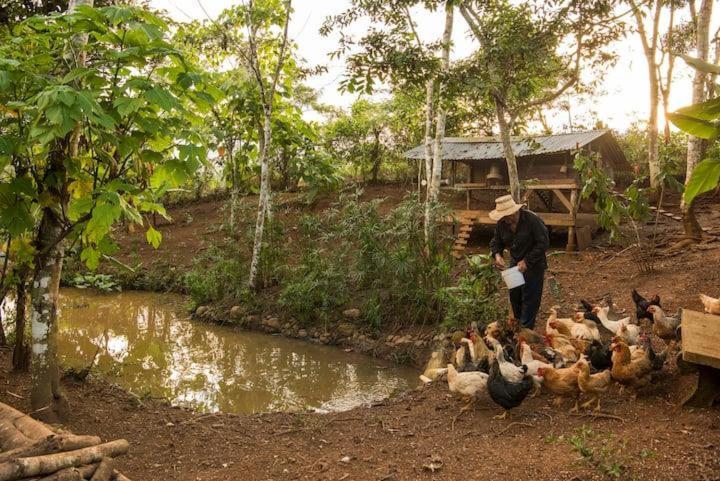 Finca Anjala - Architectural lodge on sustainable