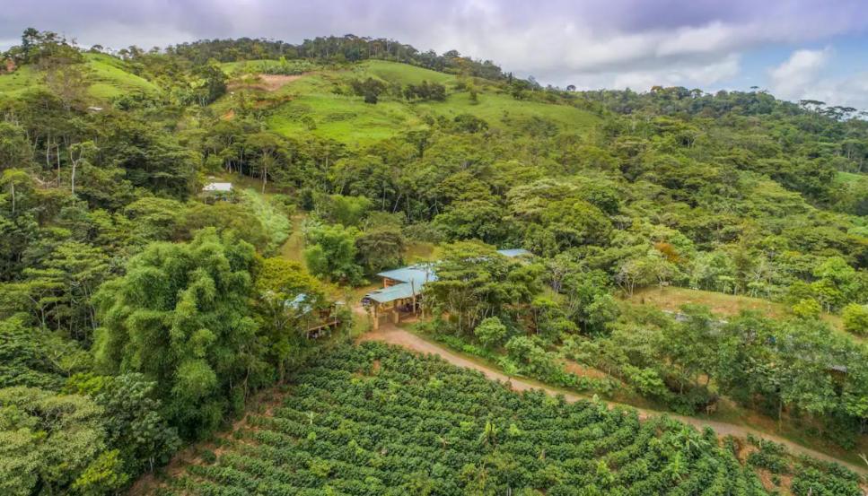 Finca Anjala - Architectural lodge on sustainable