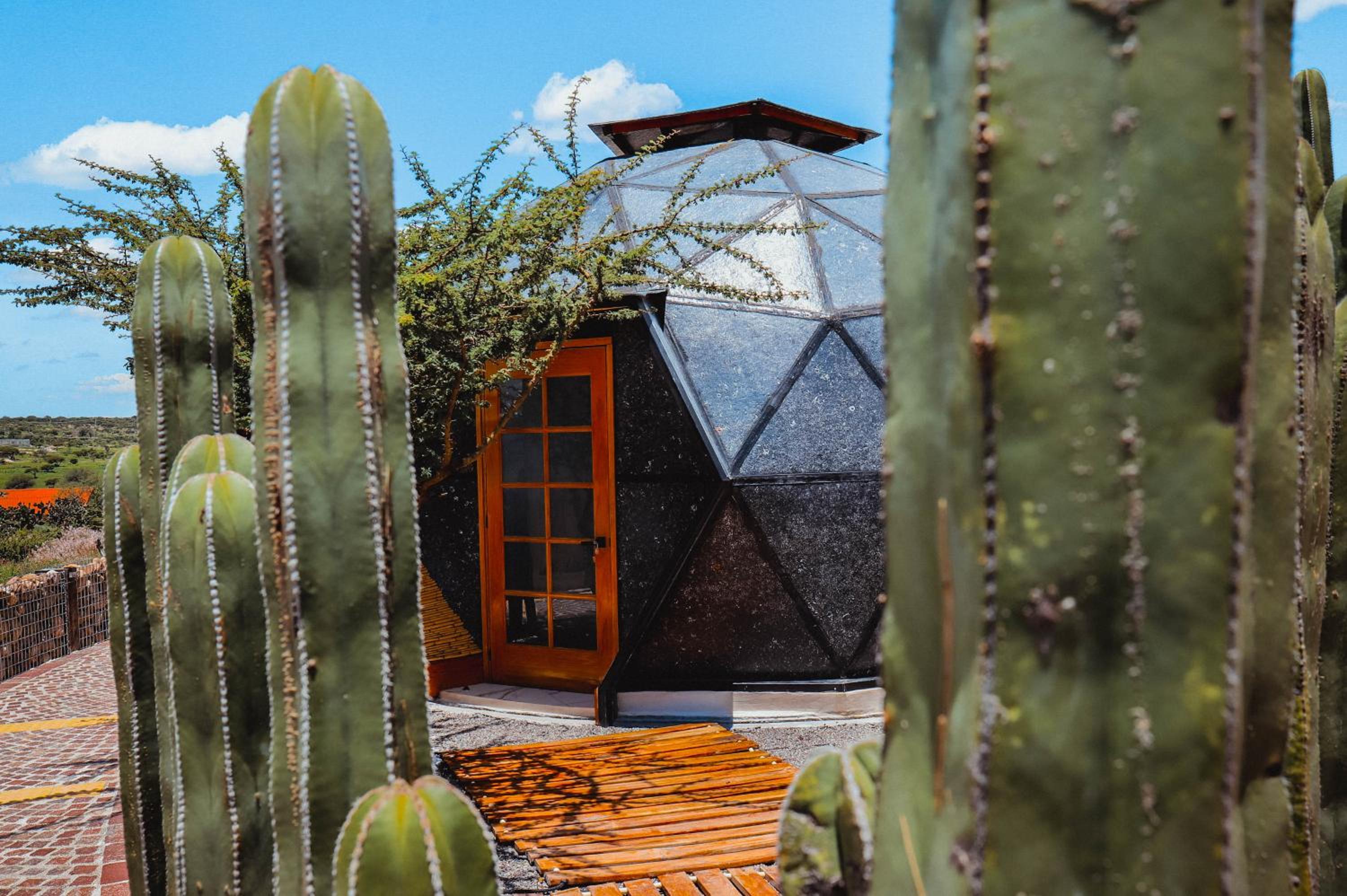 Glamping Espiral