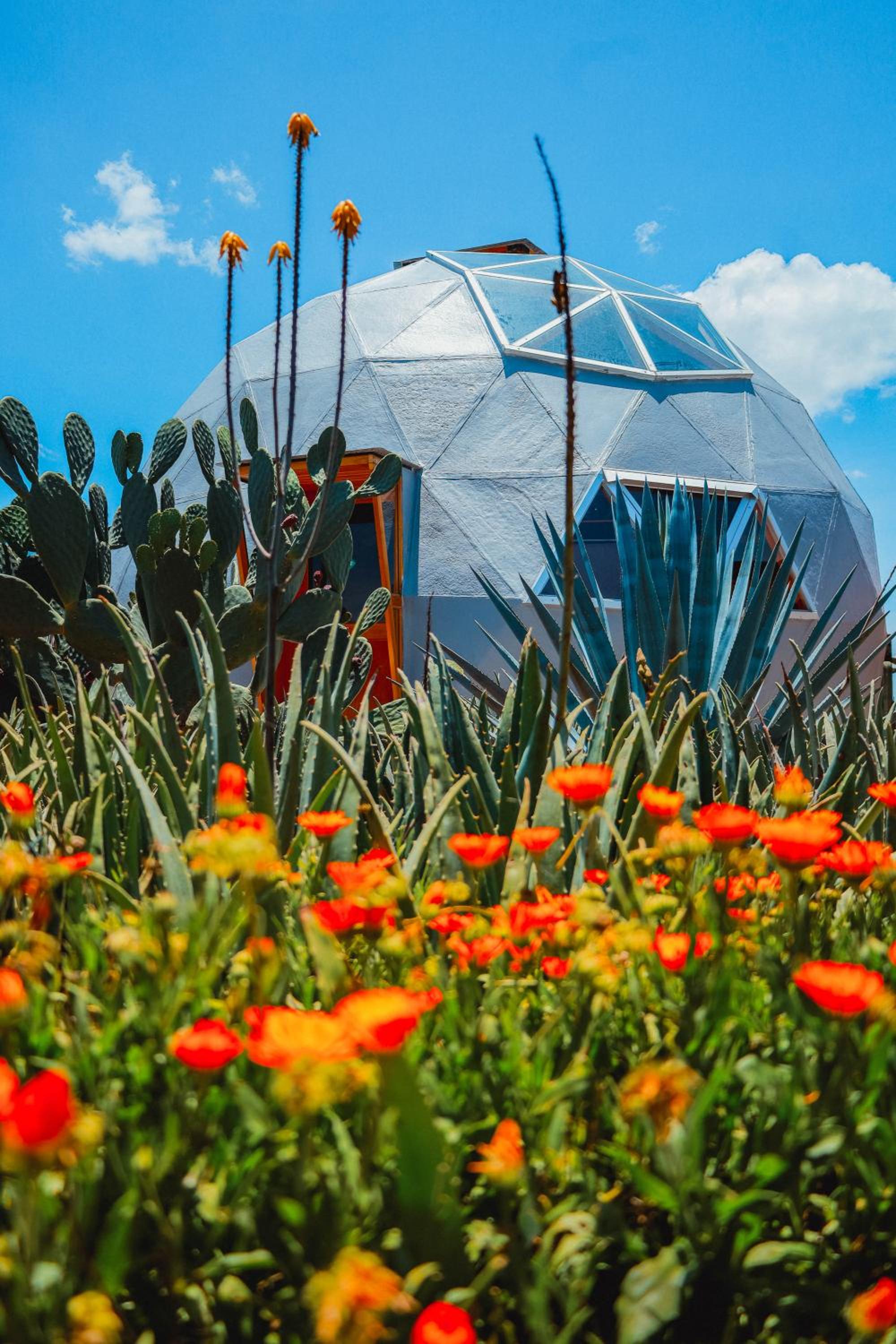 Glamping Espiral