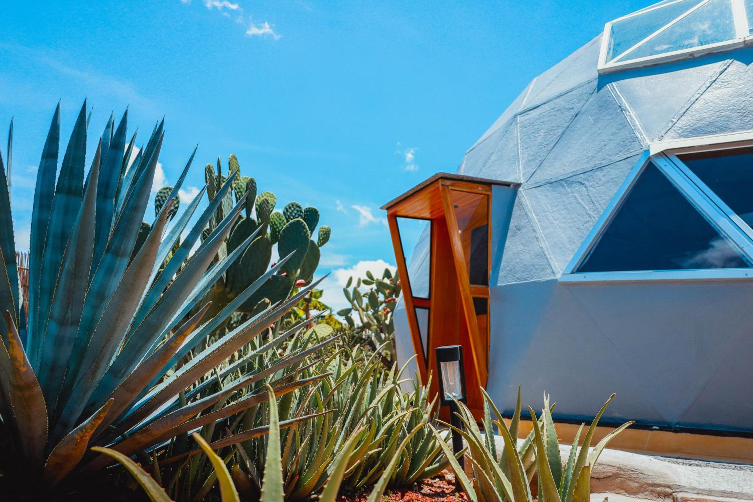 Glamping Espiral