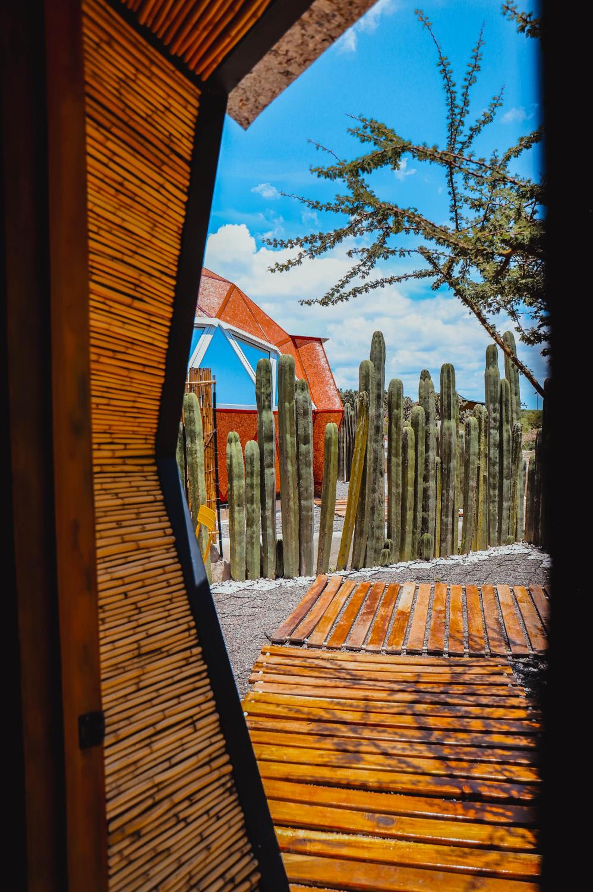 Glamping Espiral