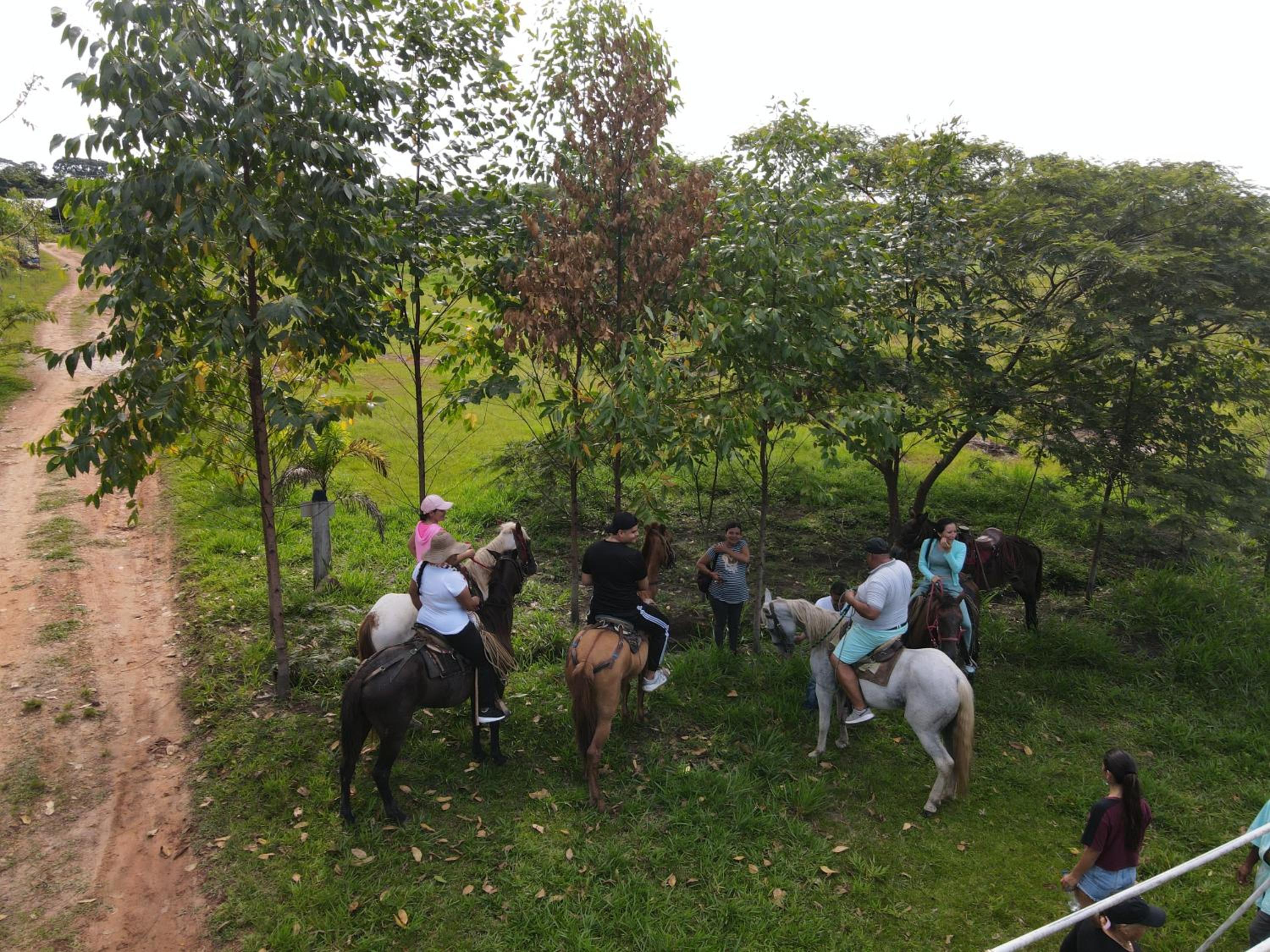 Finca Ecoturistica Piedra Alta