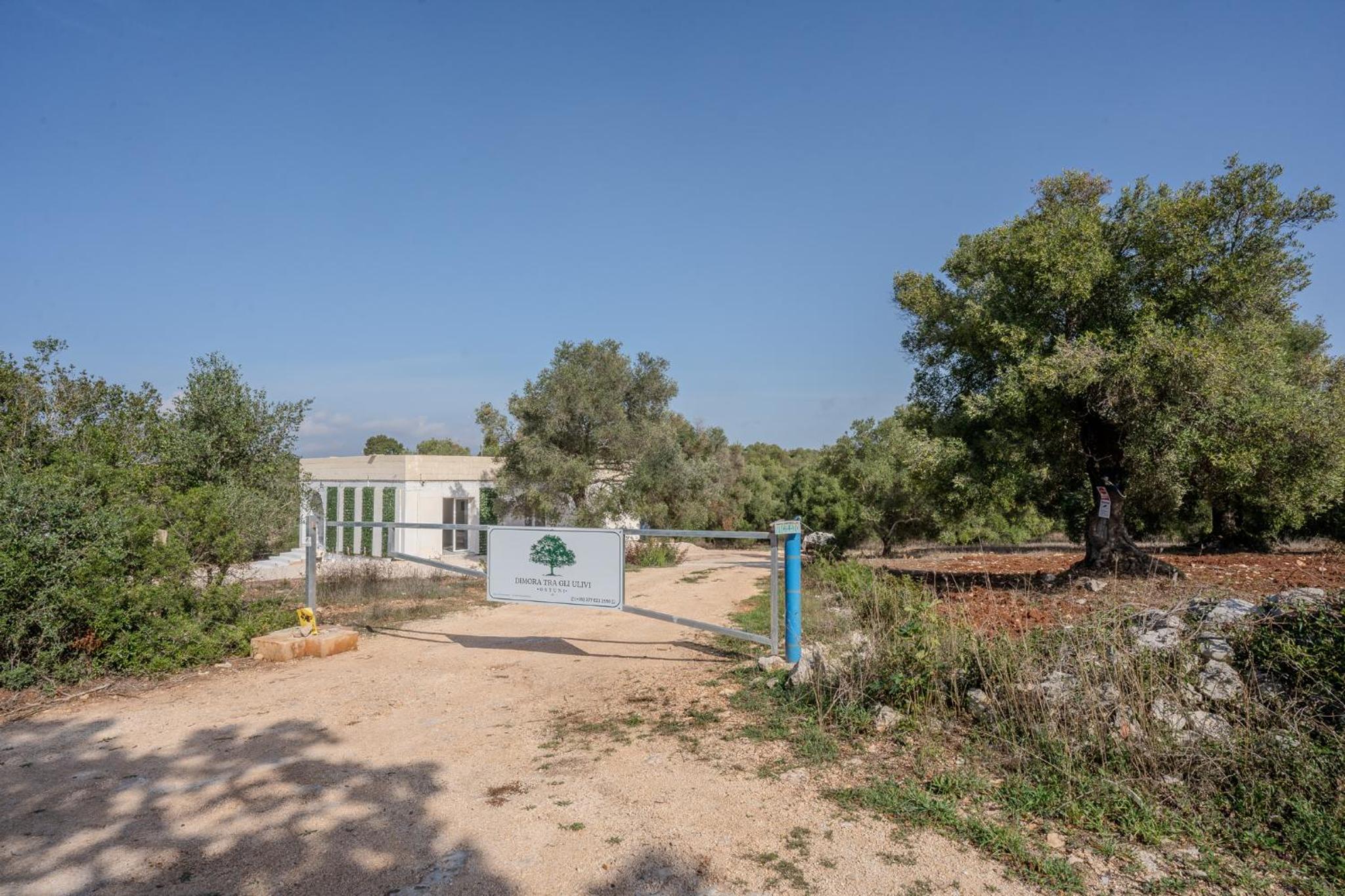 Villa tra gli Ulivi - Ostuni view 3