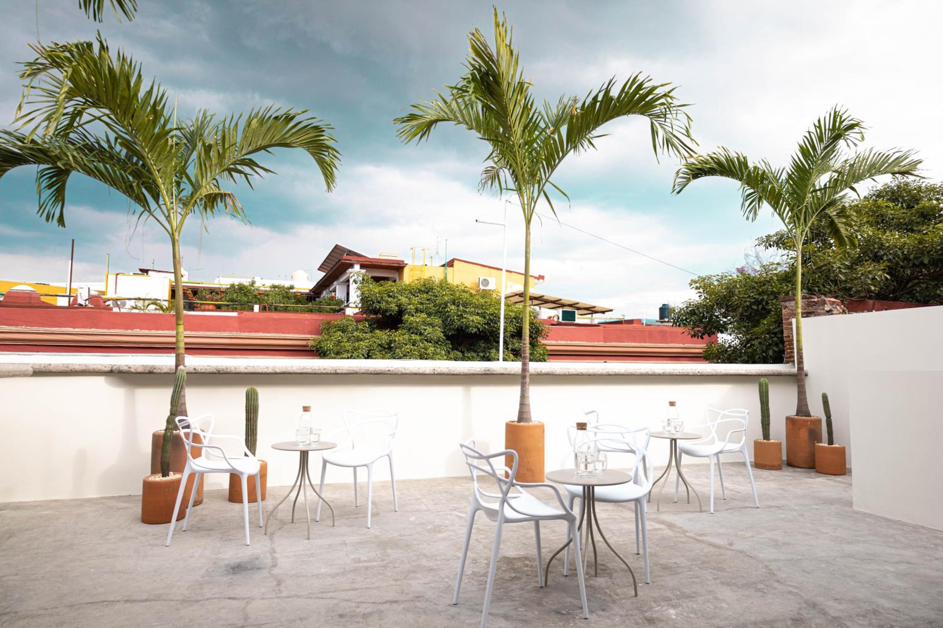 Casa Lumos - Minimalist Comfort Suites in Centro Historico