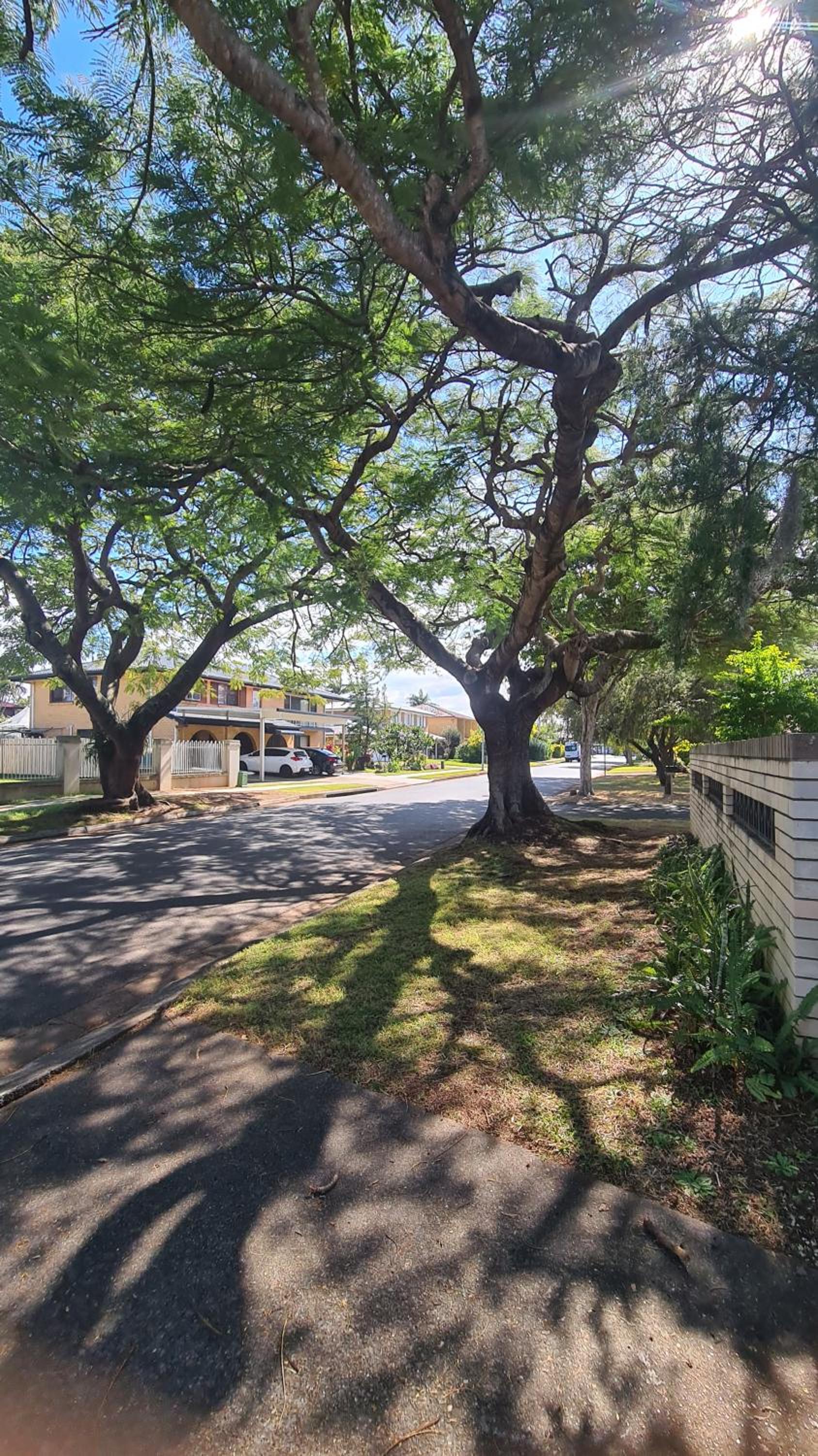4BR big family house with huge pool