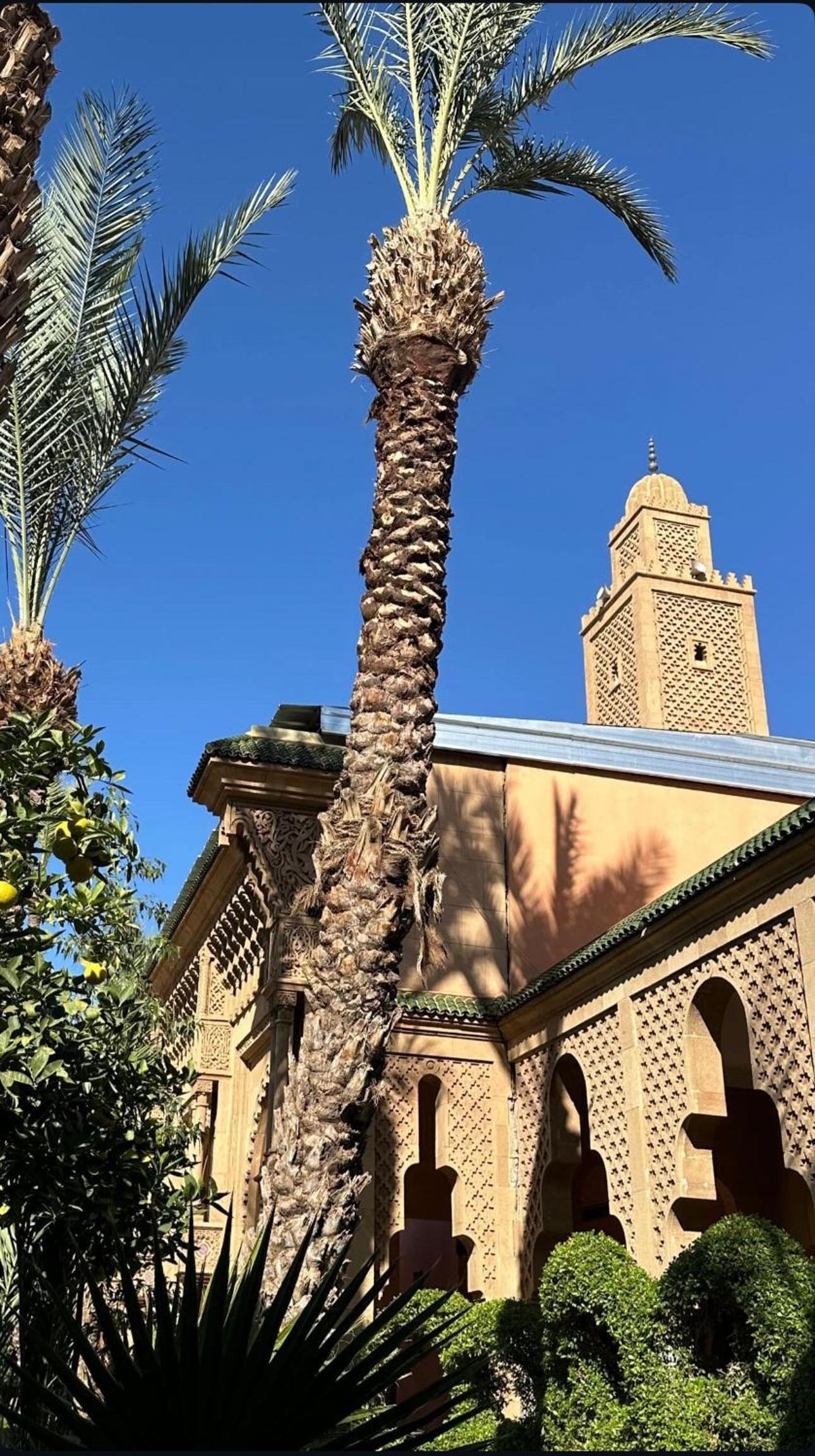 Hotel Riad Palmeraie - Image 1