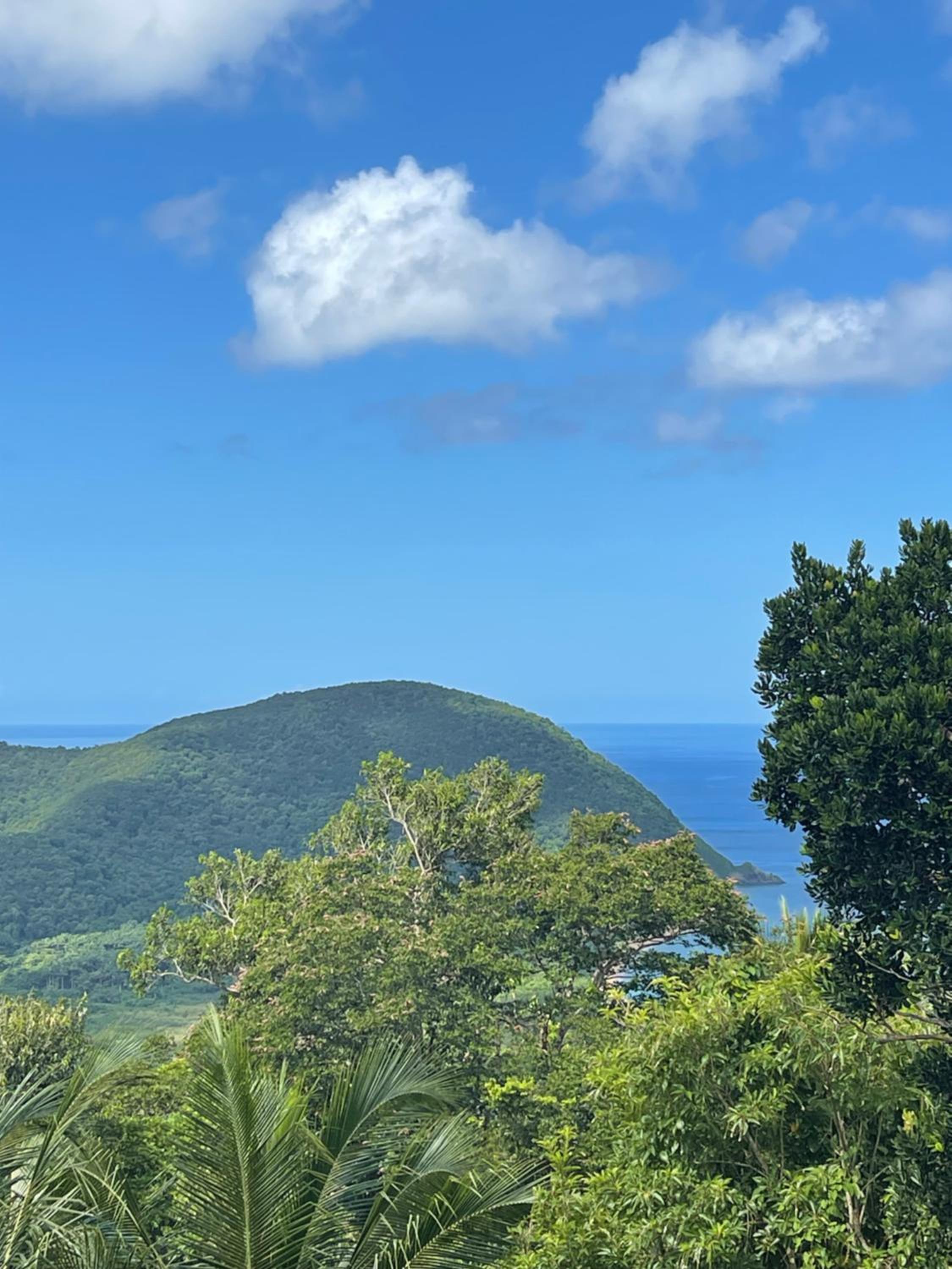 "Rhodiola" Superbe T2 vue panoramique mer Grande Anse view 4
