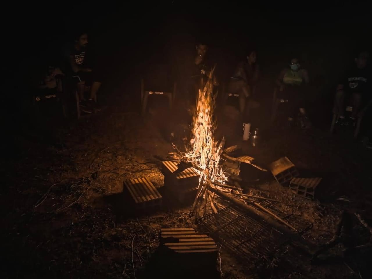 El Palmar Cabañas y Camping