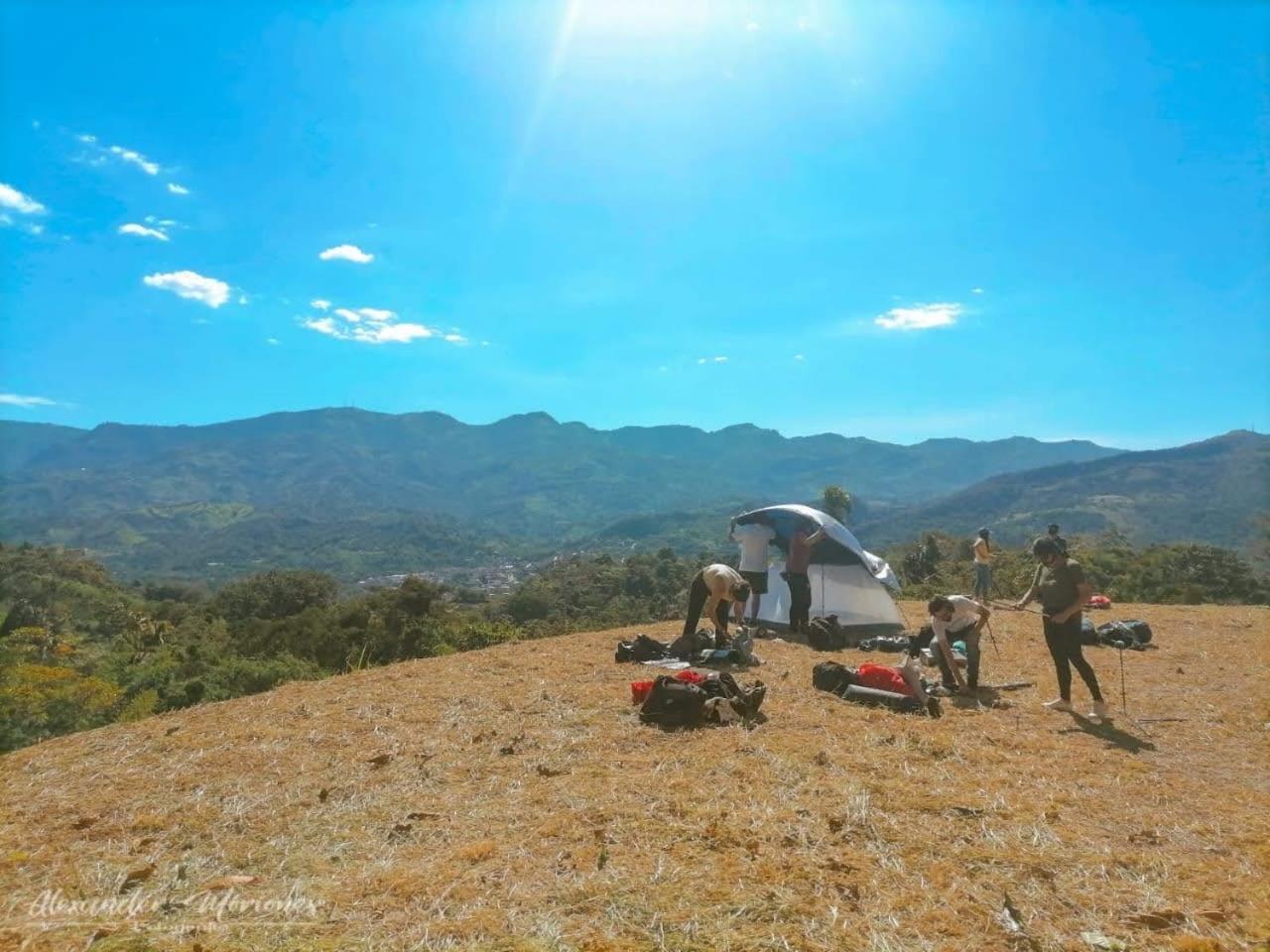 El Palmar Cabañas y Camping