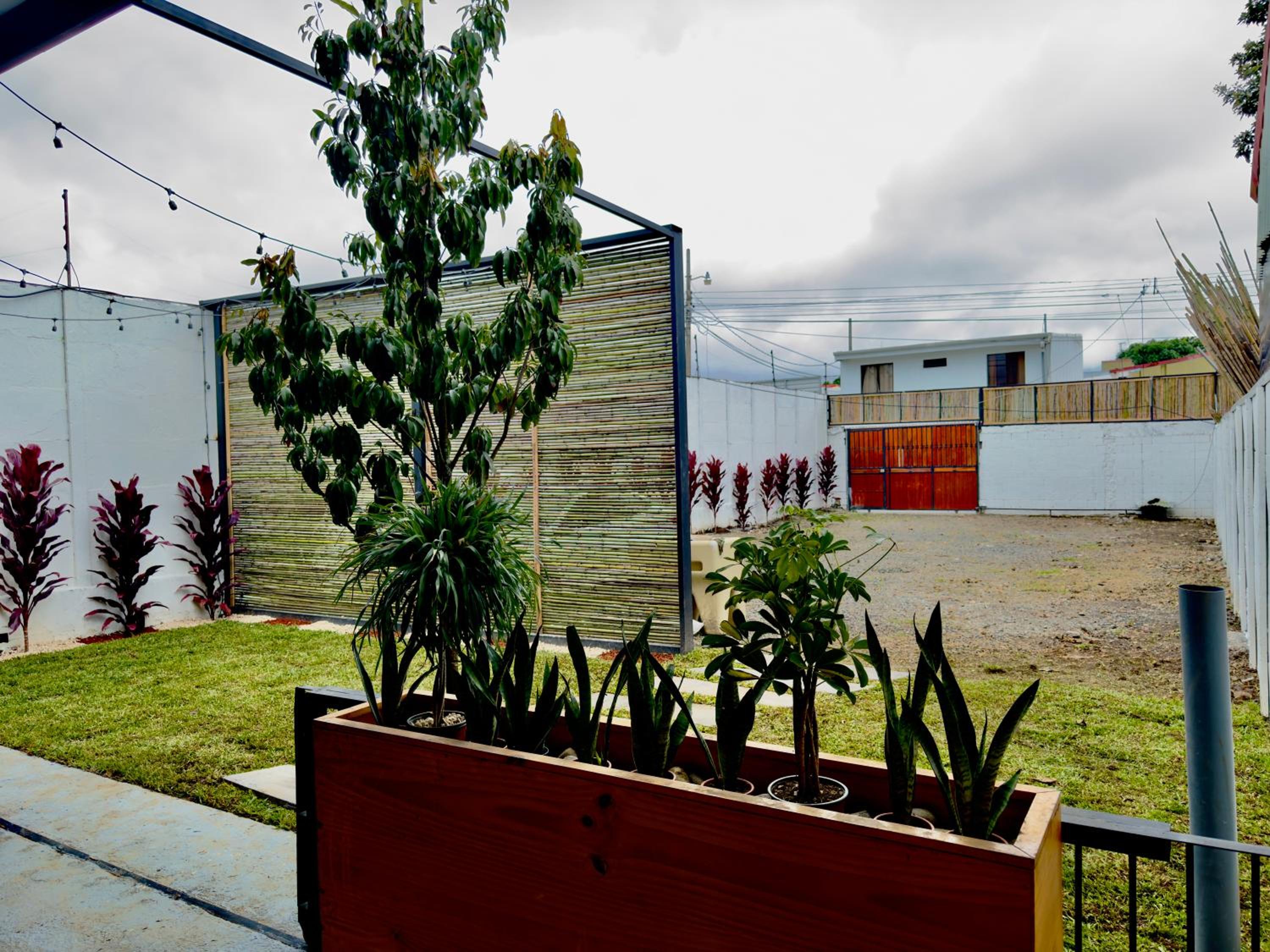 bambu house