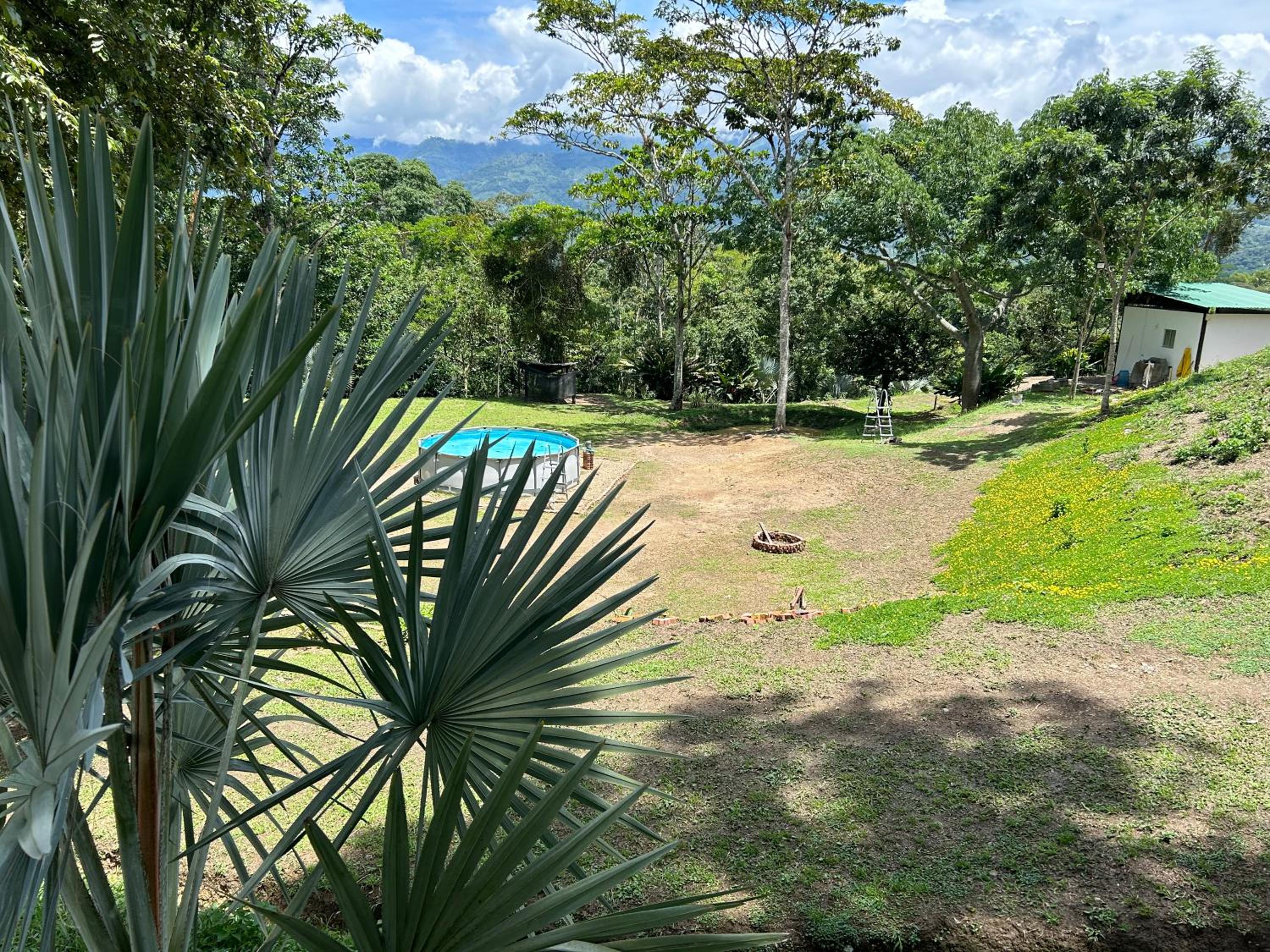 El Palmar Cabañas y Camping