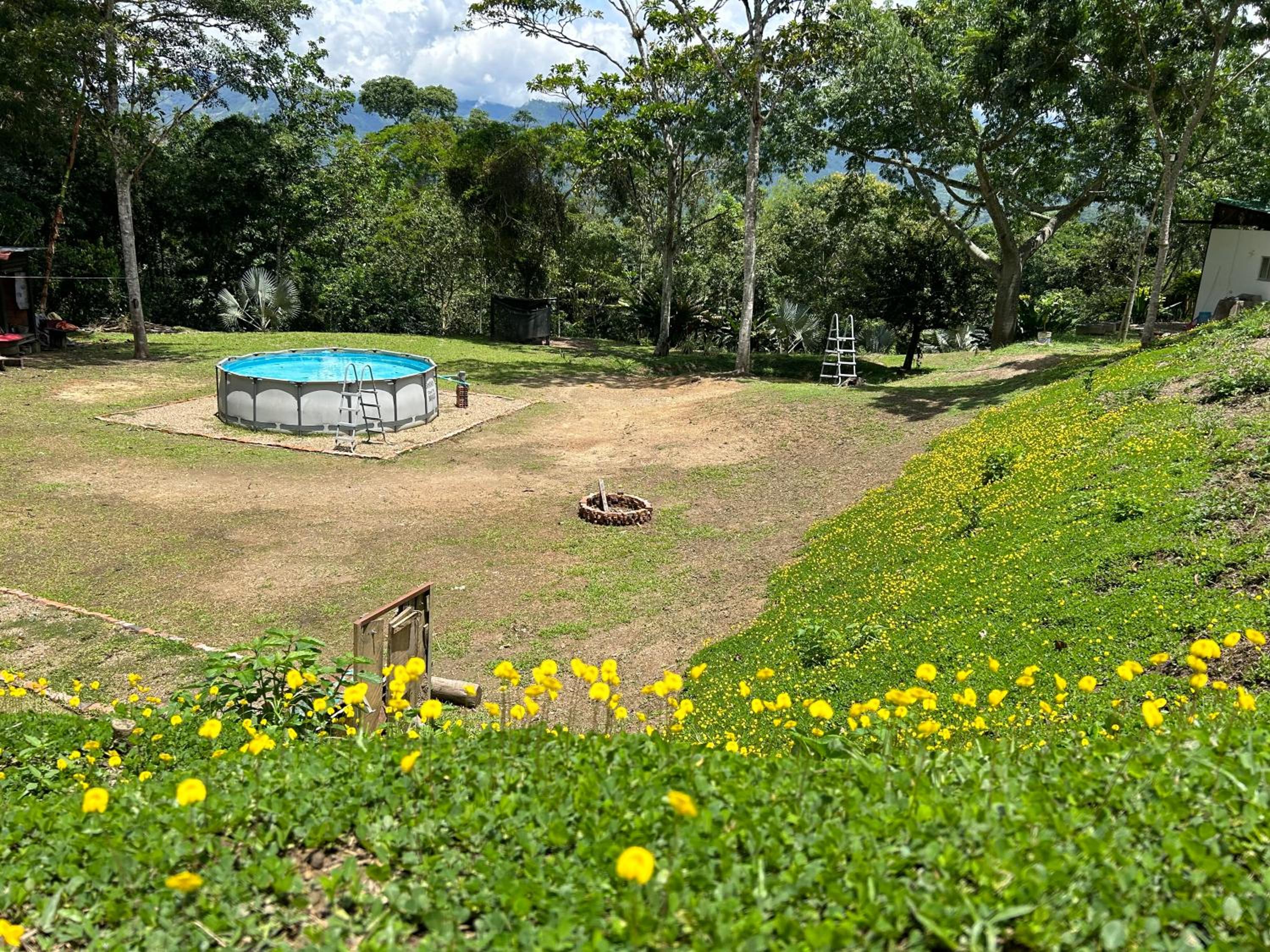El Palmar Cabañas y Camping