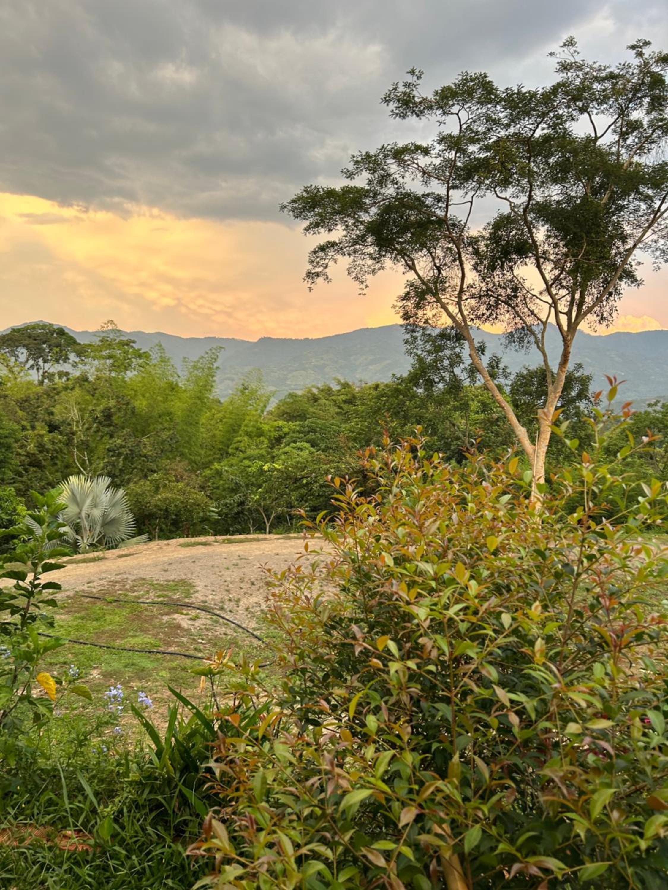 El Palmar Cabañas y Camping