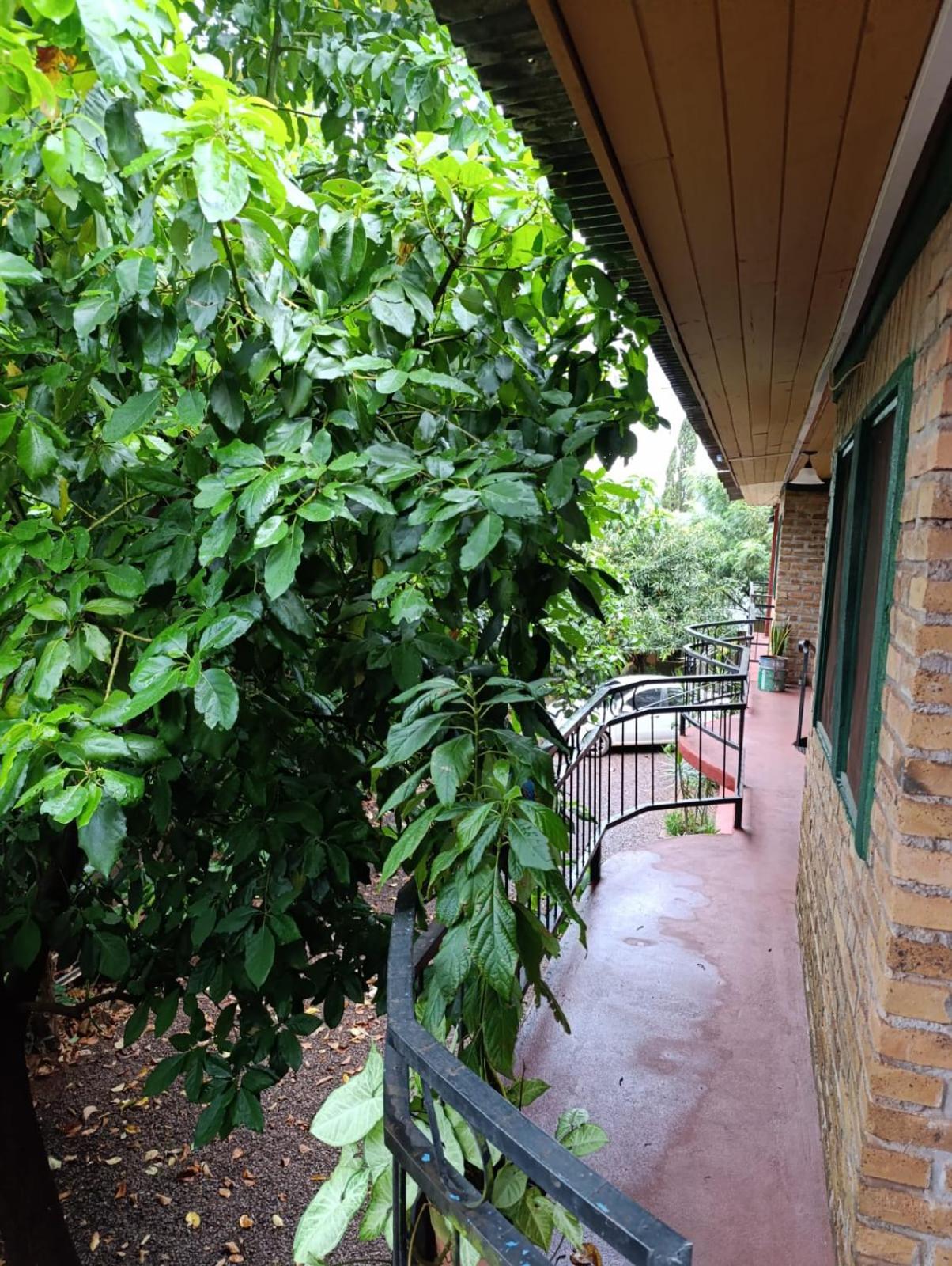 Departamento Céntrico de 2 Ambientes con Balcón