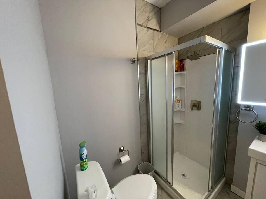Comfortable and Beautiful Brand-New Suite BSMT-Two Bedroom, Two Washrooms