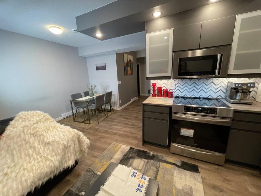 Comfortable and Beautiful Brand-New Suite BSMT-Two Bedroom, Two Washrooms
