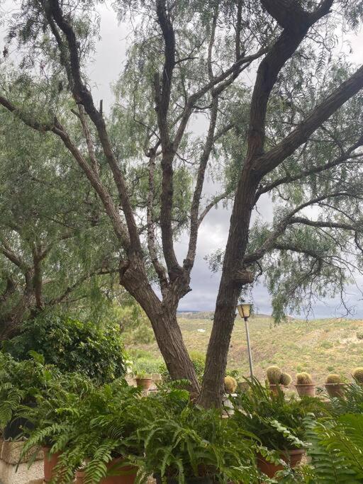 Casa Rural Abuelo Bailón