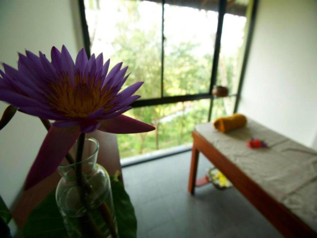 Mangrove Escapes Resort