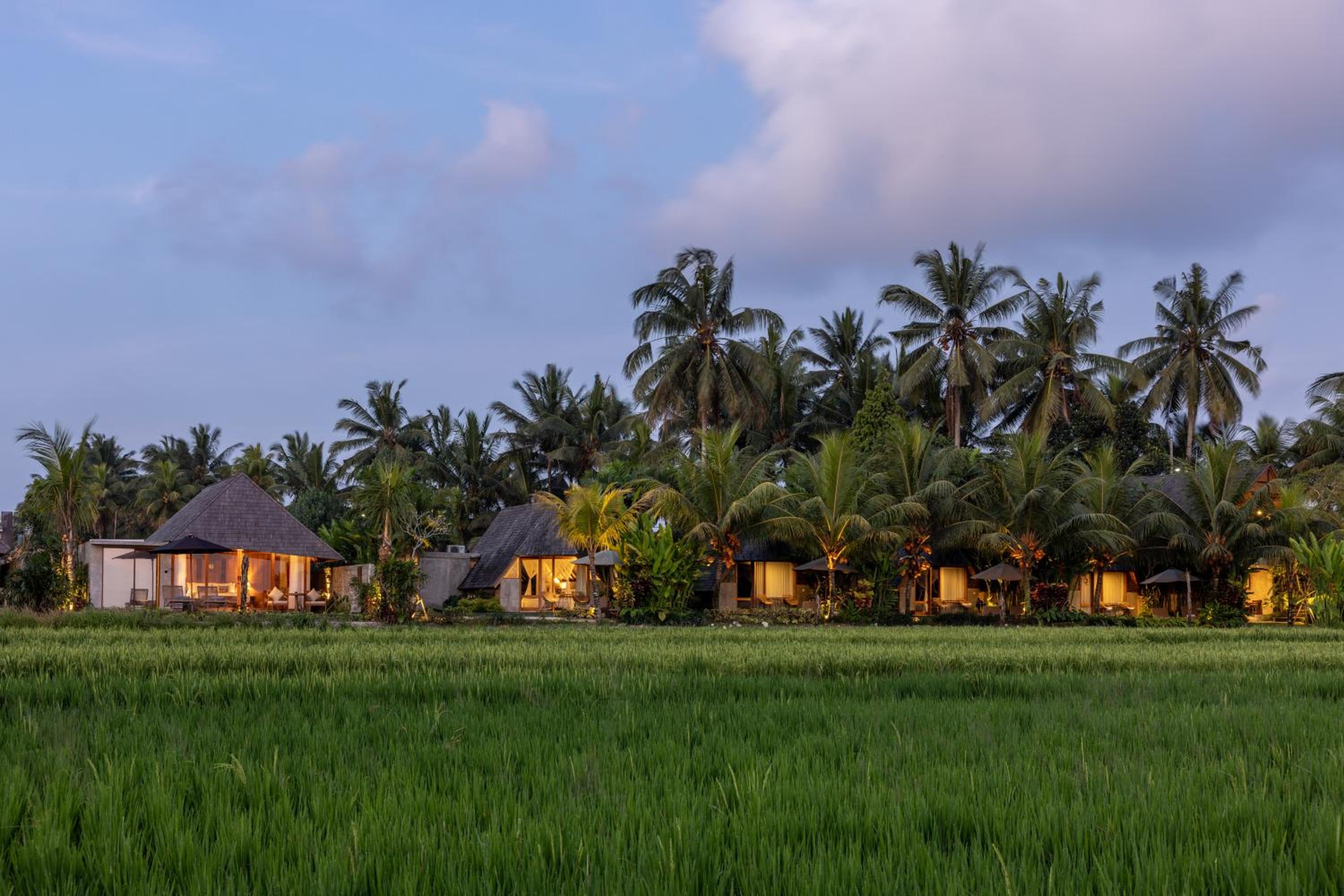 Lasamana Villas Ubud by GenuineHost view 5