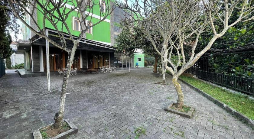 Hotel Cemara Hijau