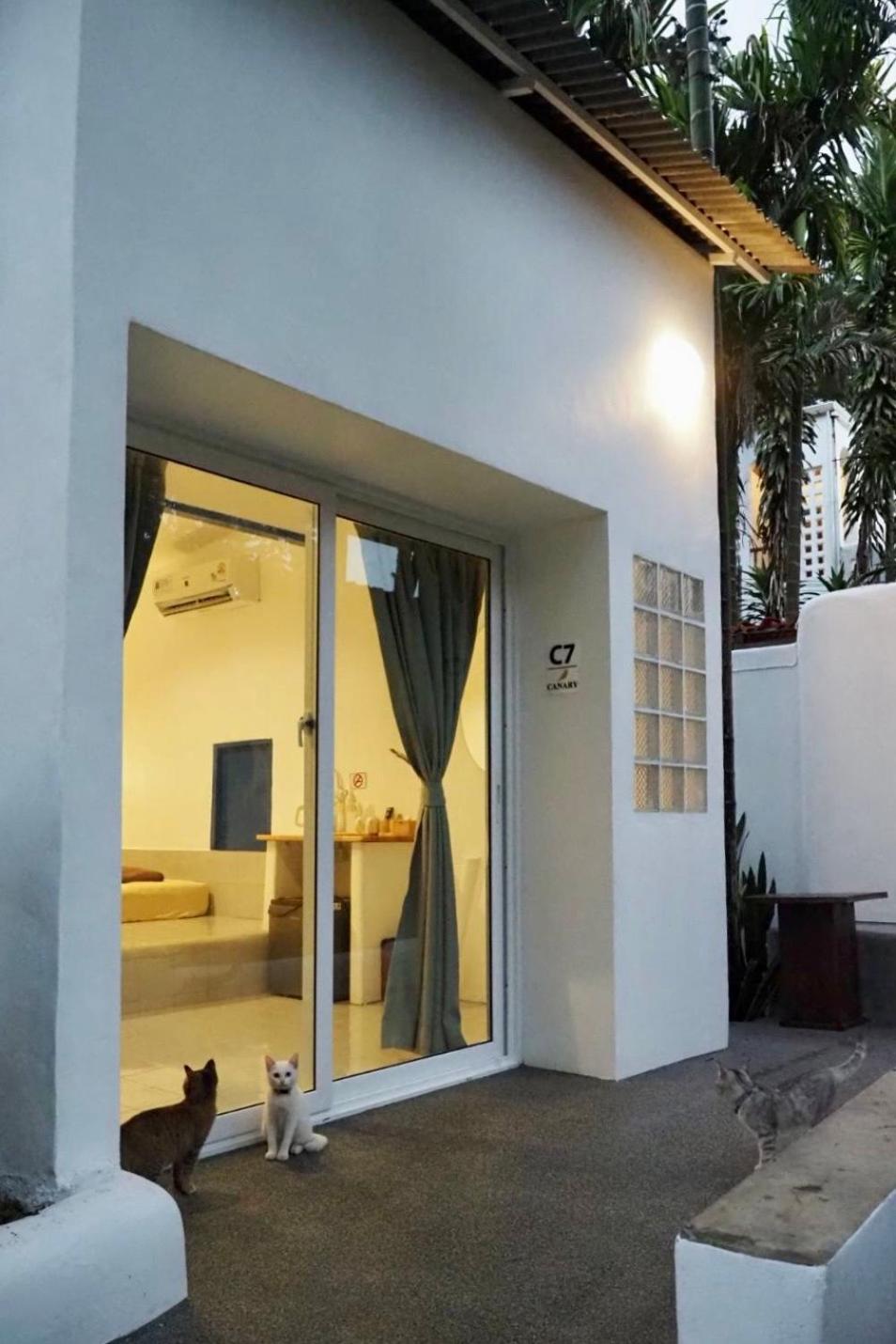 Canary Guesthouse