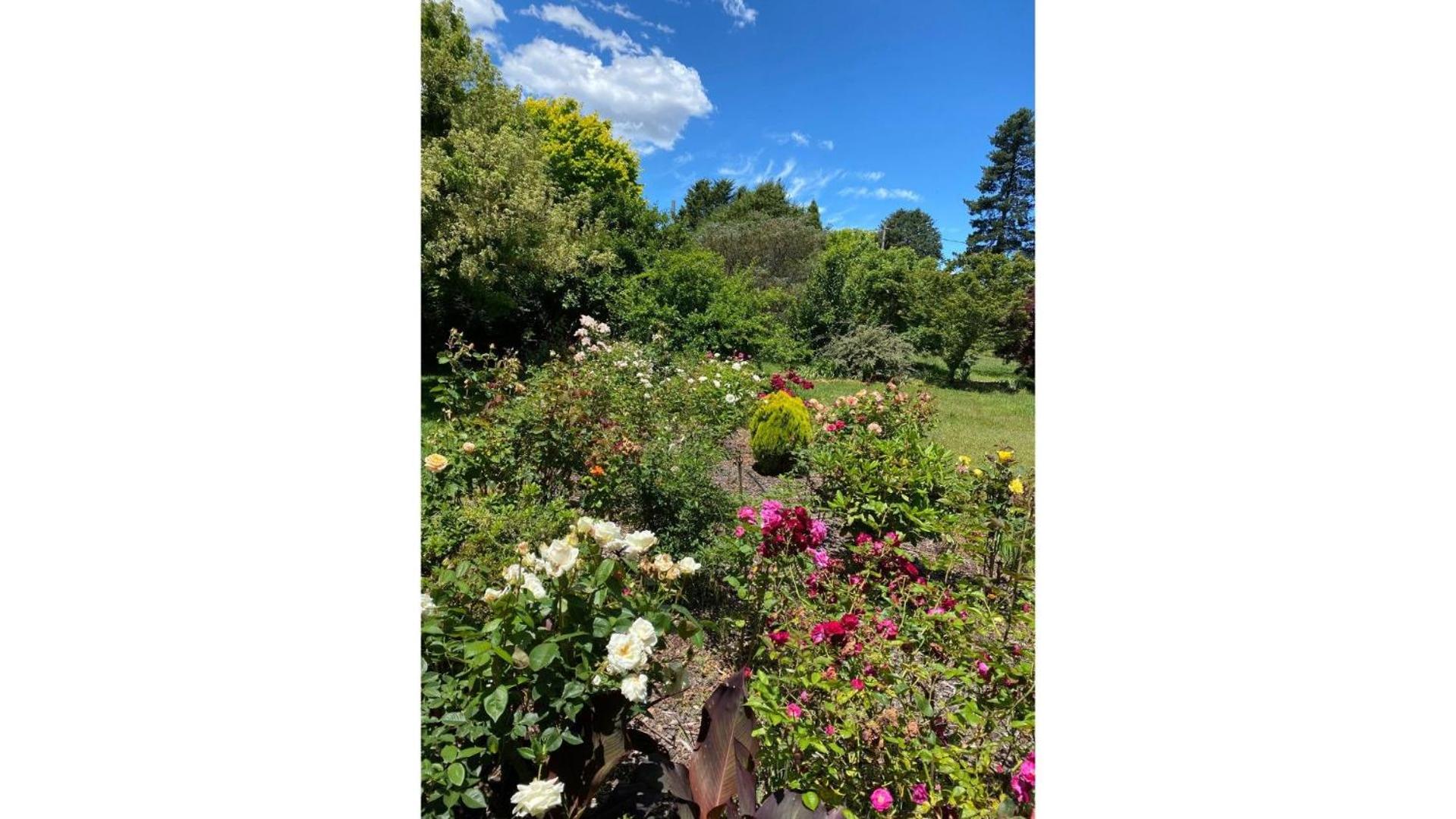Charming Historic Rural Escape Near the Blue Mtns