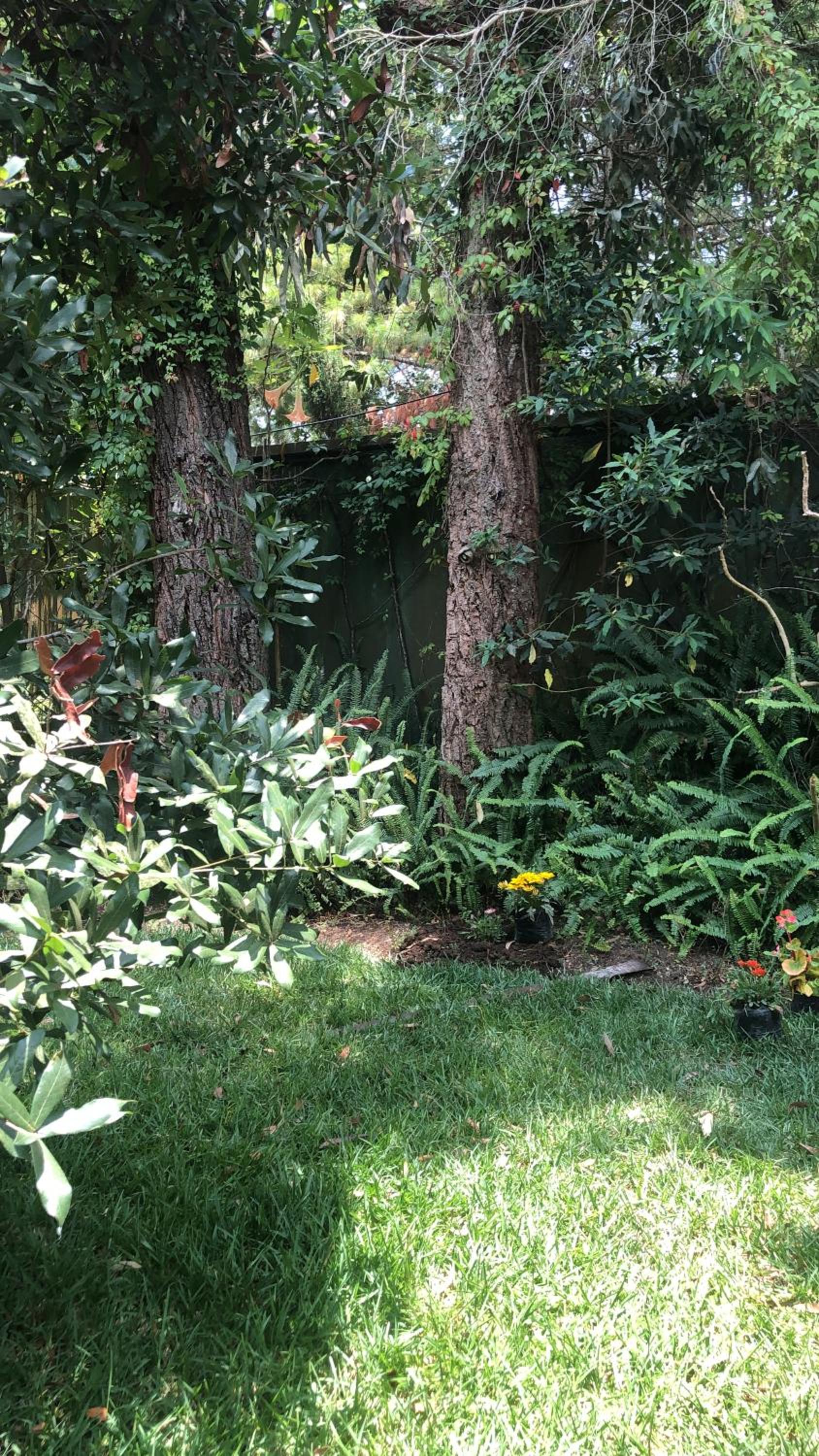 Habitación Cabaña