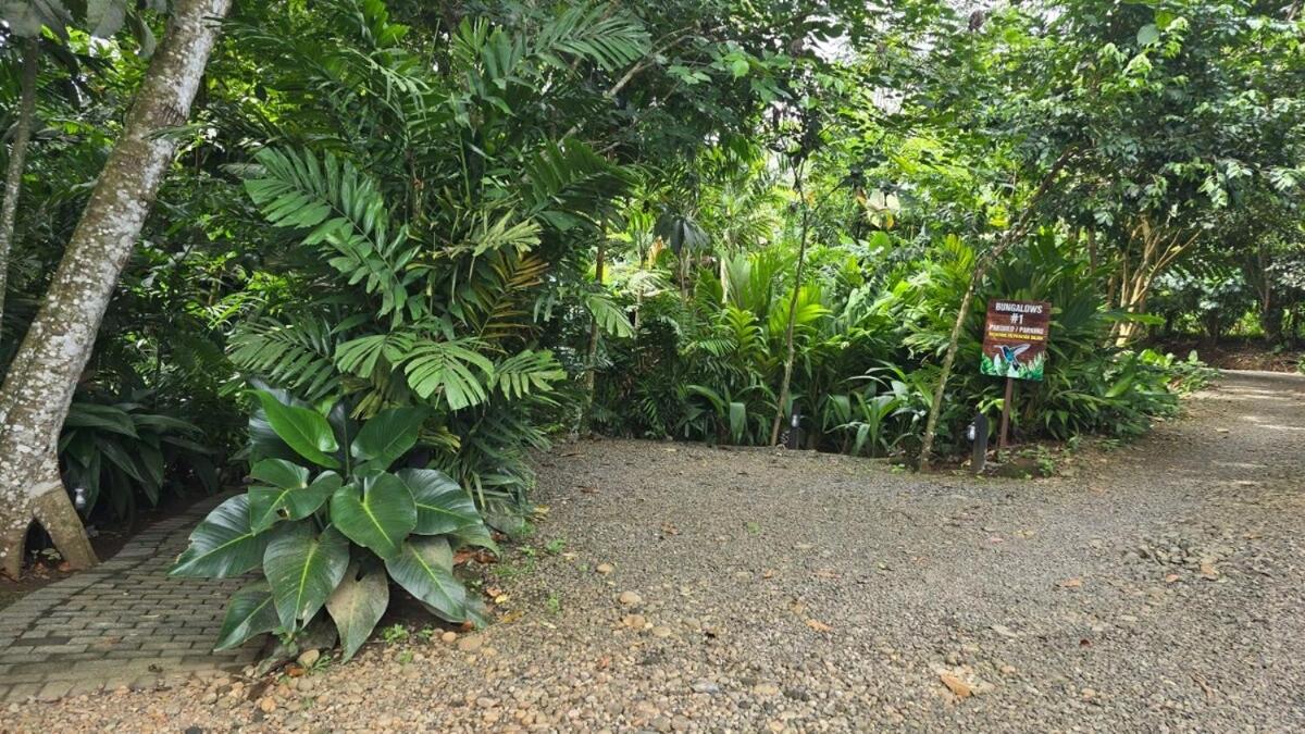 Secret Bungalows Lechu