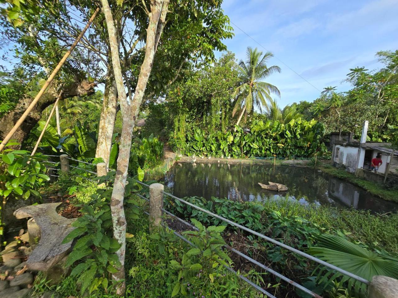 Lolo Eyong's Farm Retreat and Resort