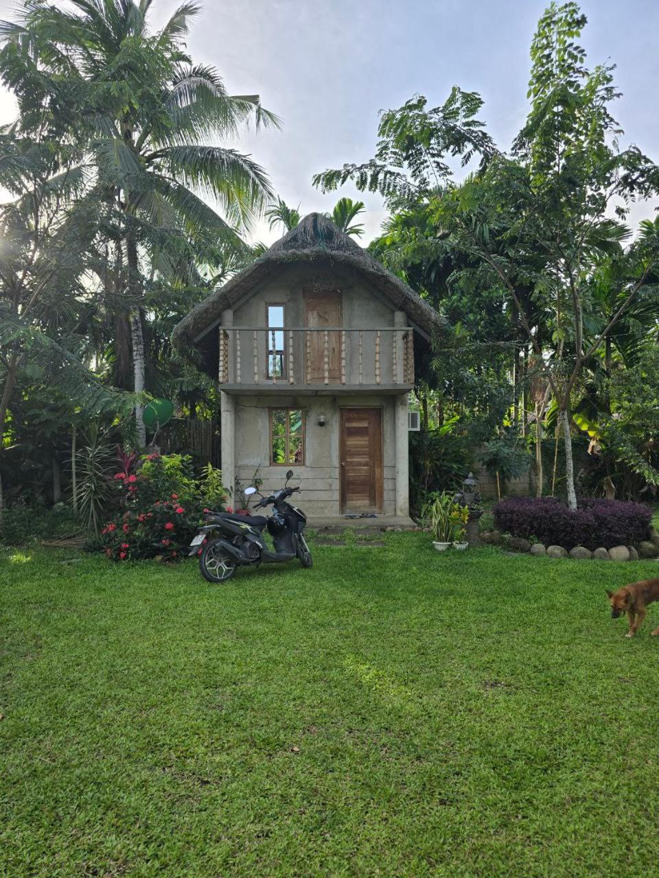 Lolo Eyong's Farm Retreat and Resort, photo 12