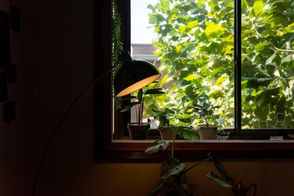 Comfy Leafy in Yeonnam view 2