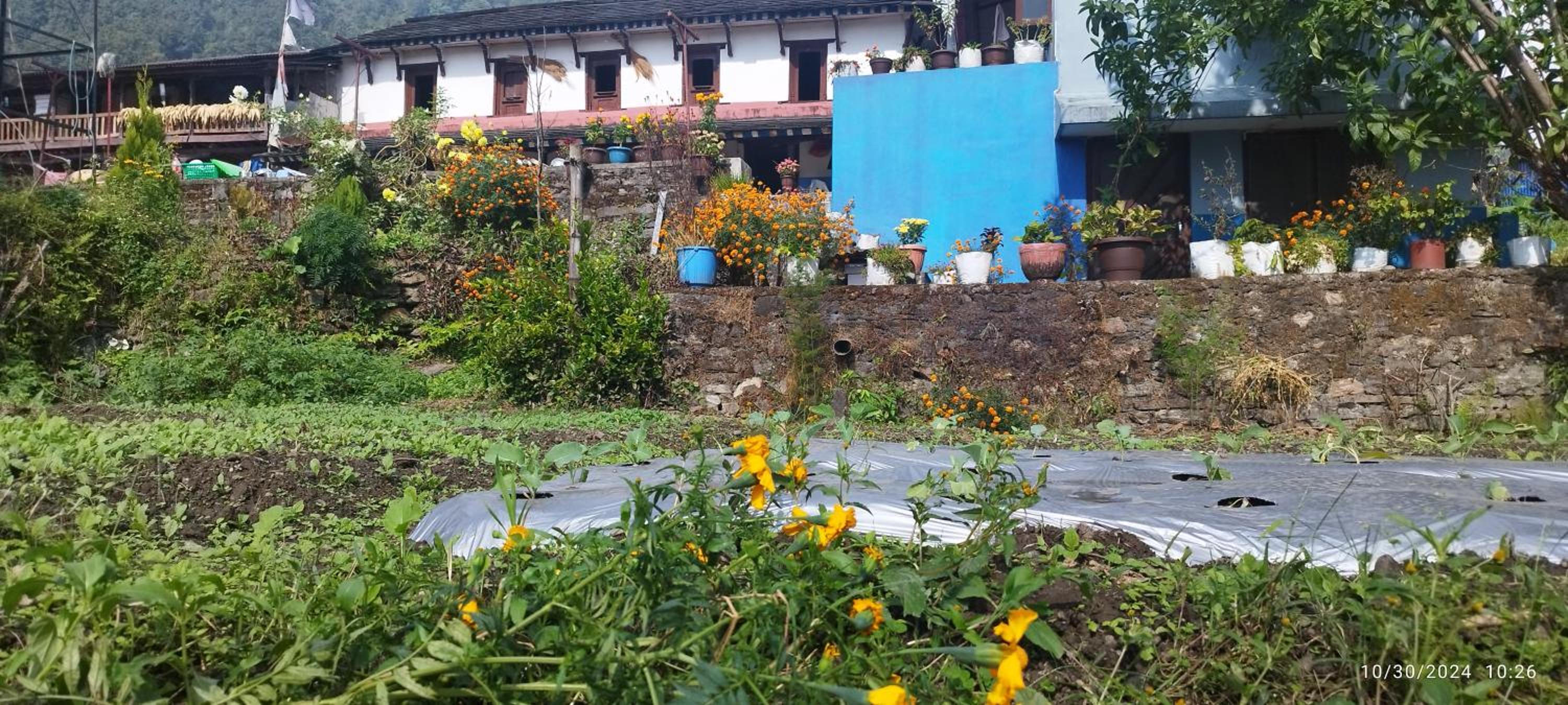 Gurung Ghachok kitchen and lodge view 3