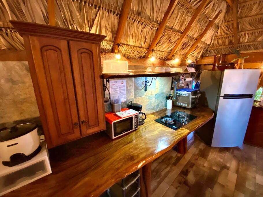 Villa Dreamland