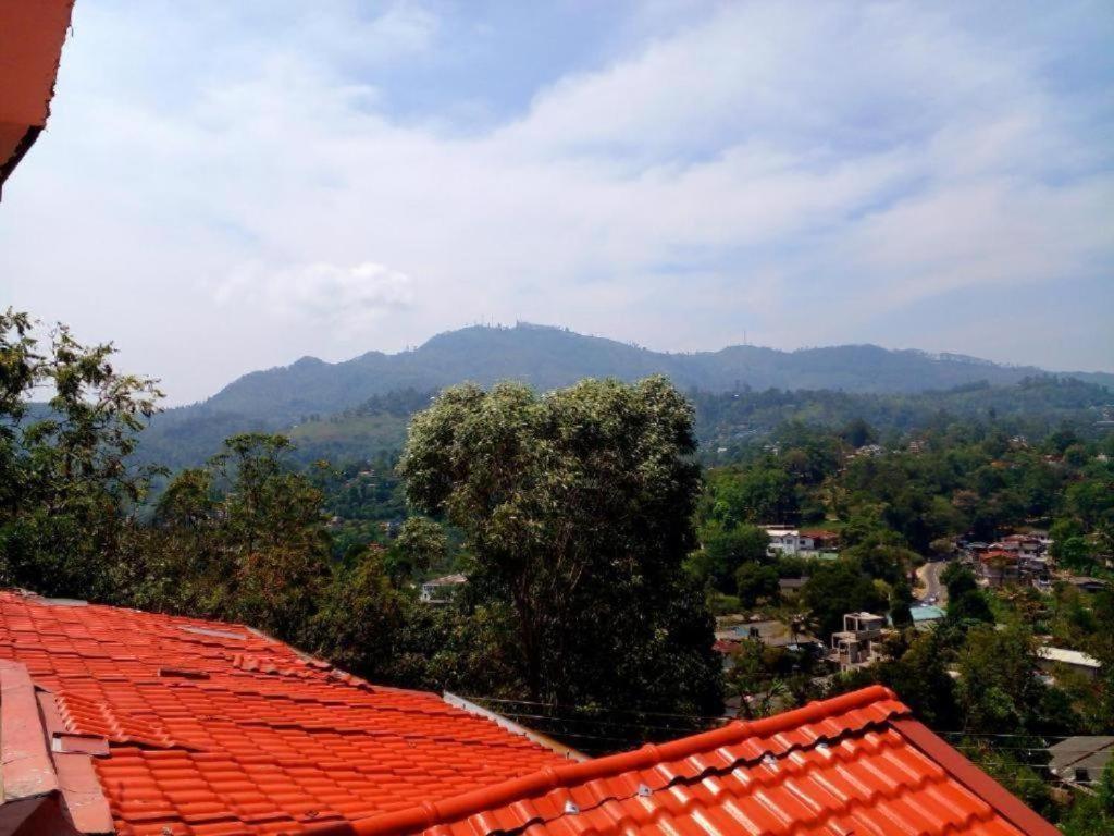 Mountain View view 2