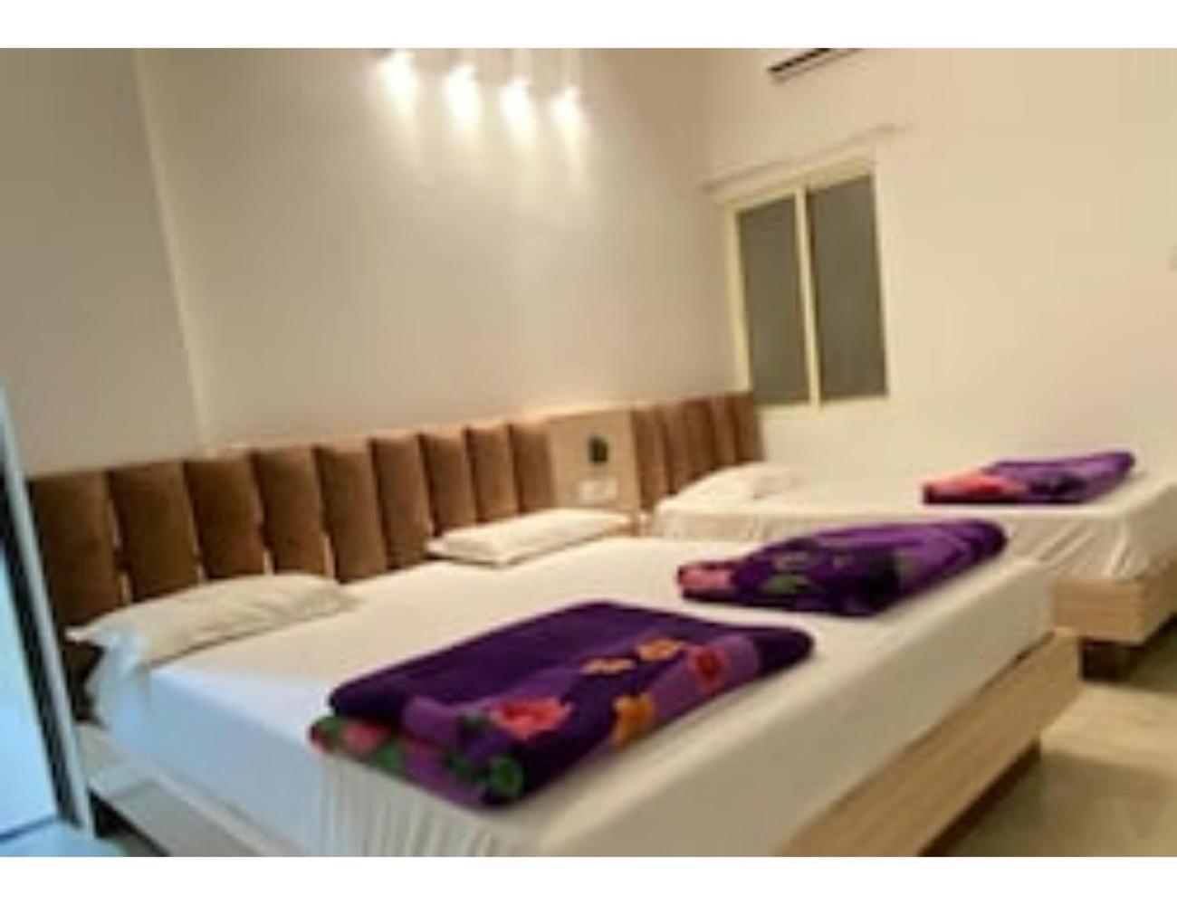 Hotel ShriNathji, Kothi view 3