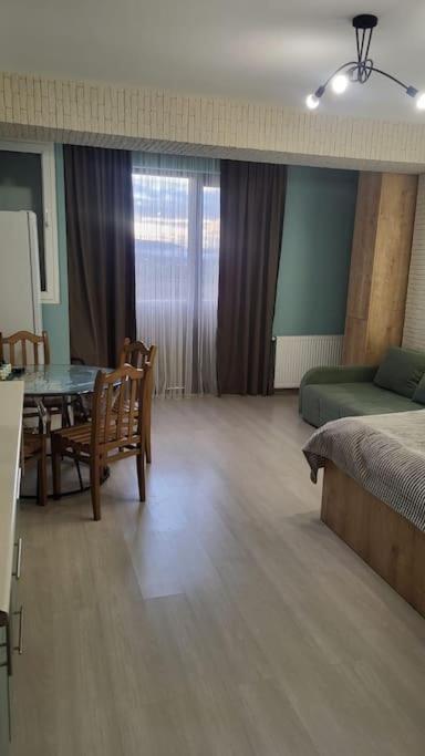 Bakuriani MIX 301B - A Cozy Apartament view 3