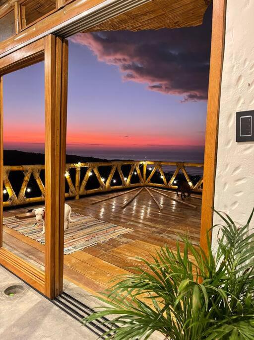 Un encuentro mágico con la naturaleza view 5