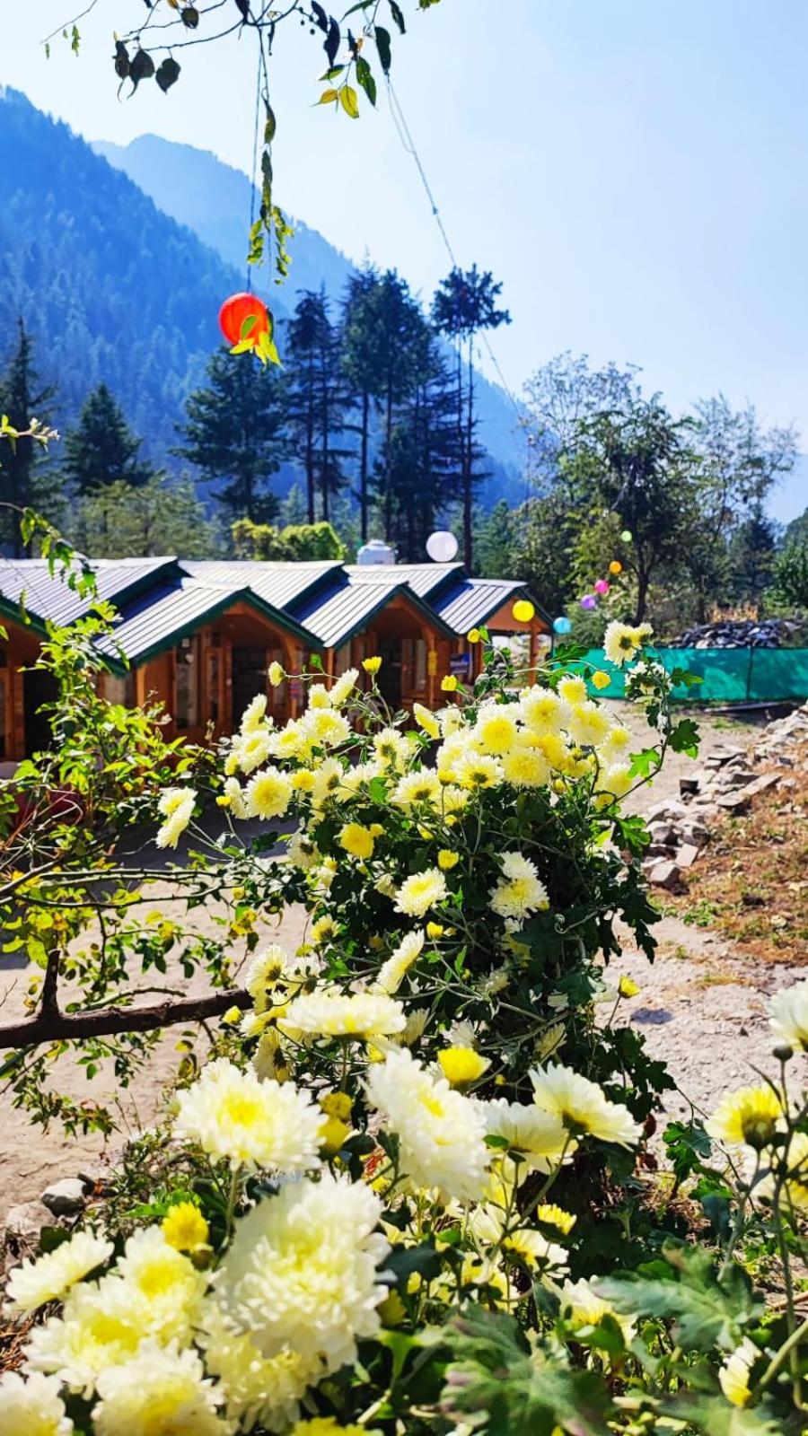 Moksha Cottages
