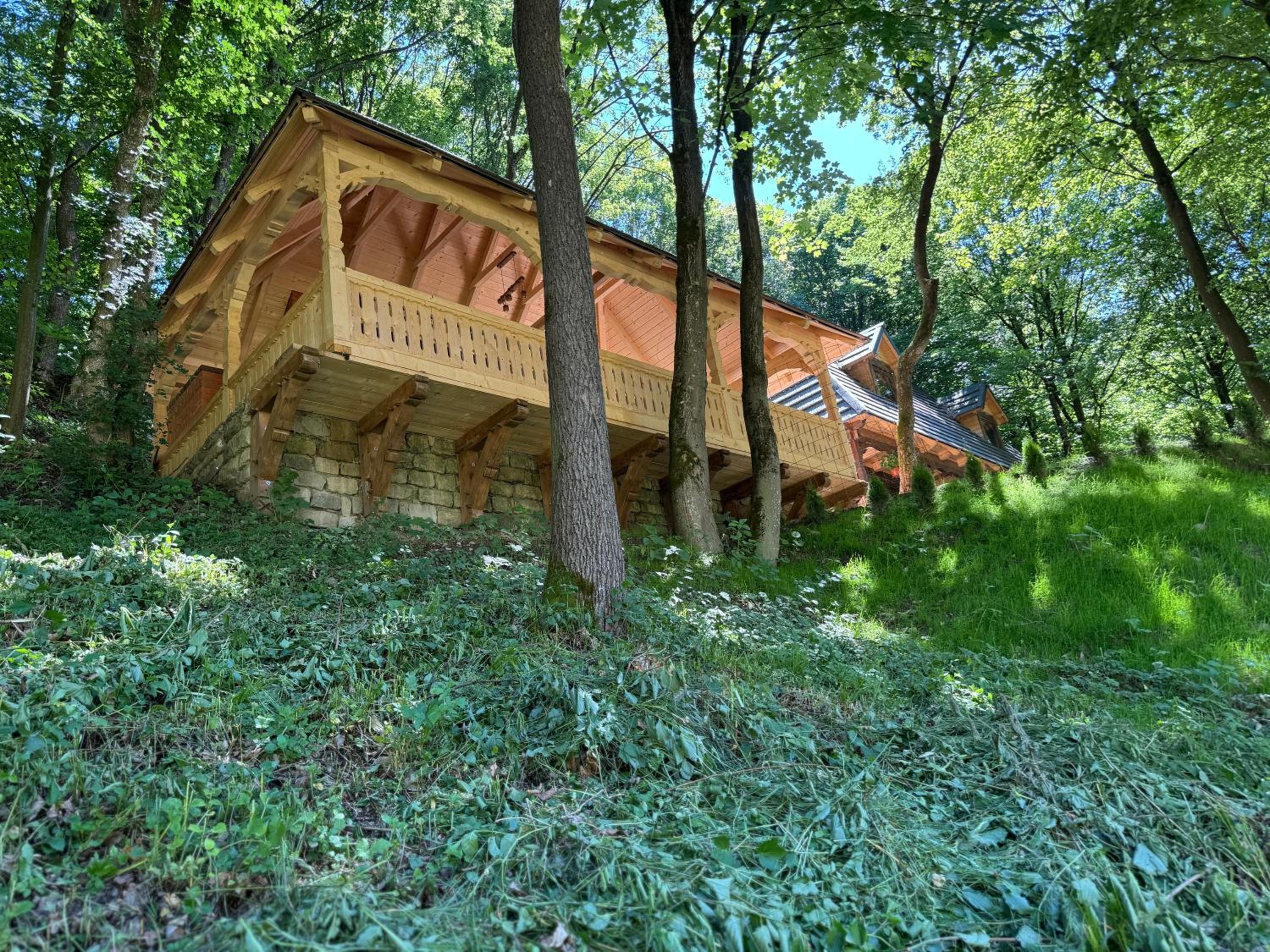 Photo 6