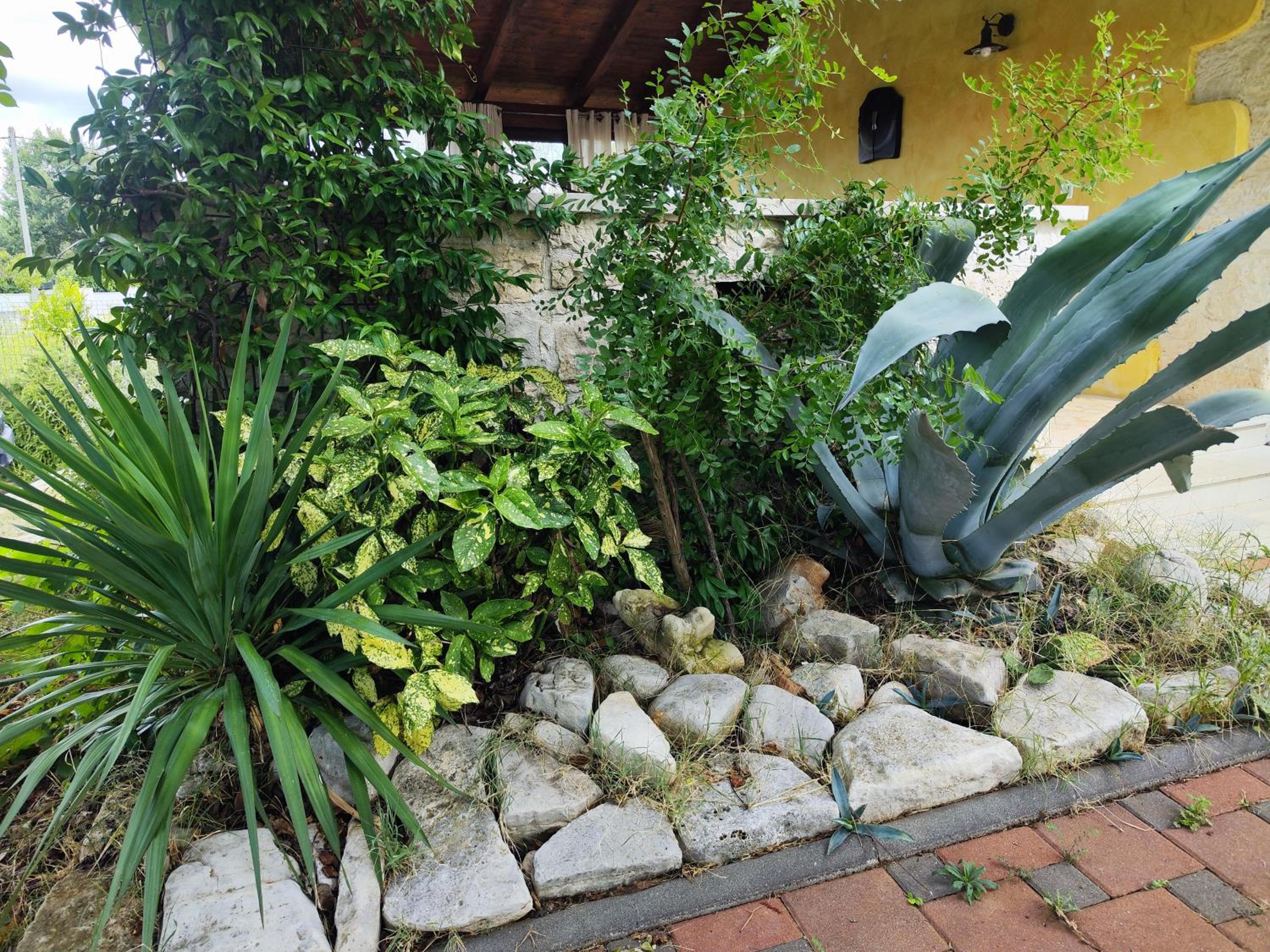 Photo 45