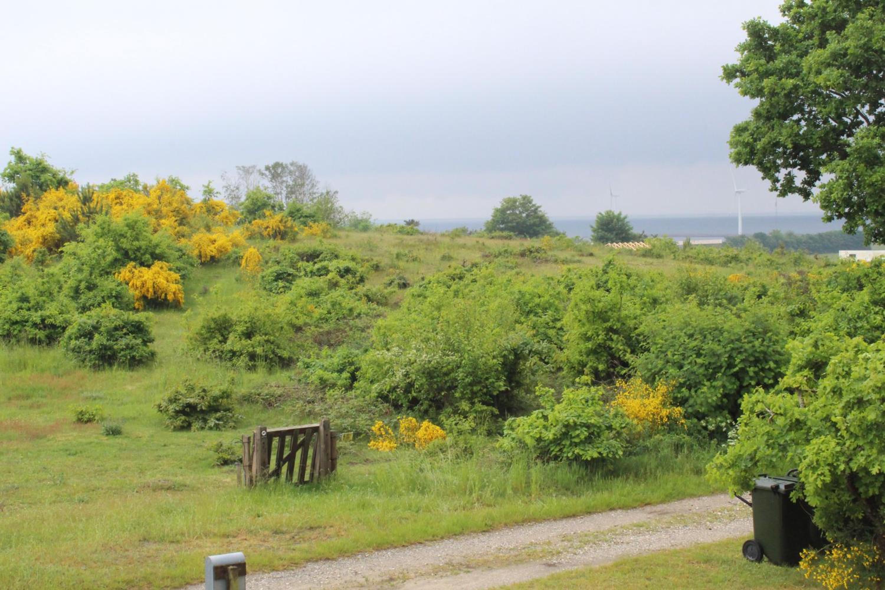 Rent A Charming And Well-Maintained Holiday Home With A Beautiful Sea View In Ebeltoft