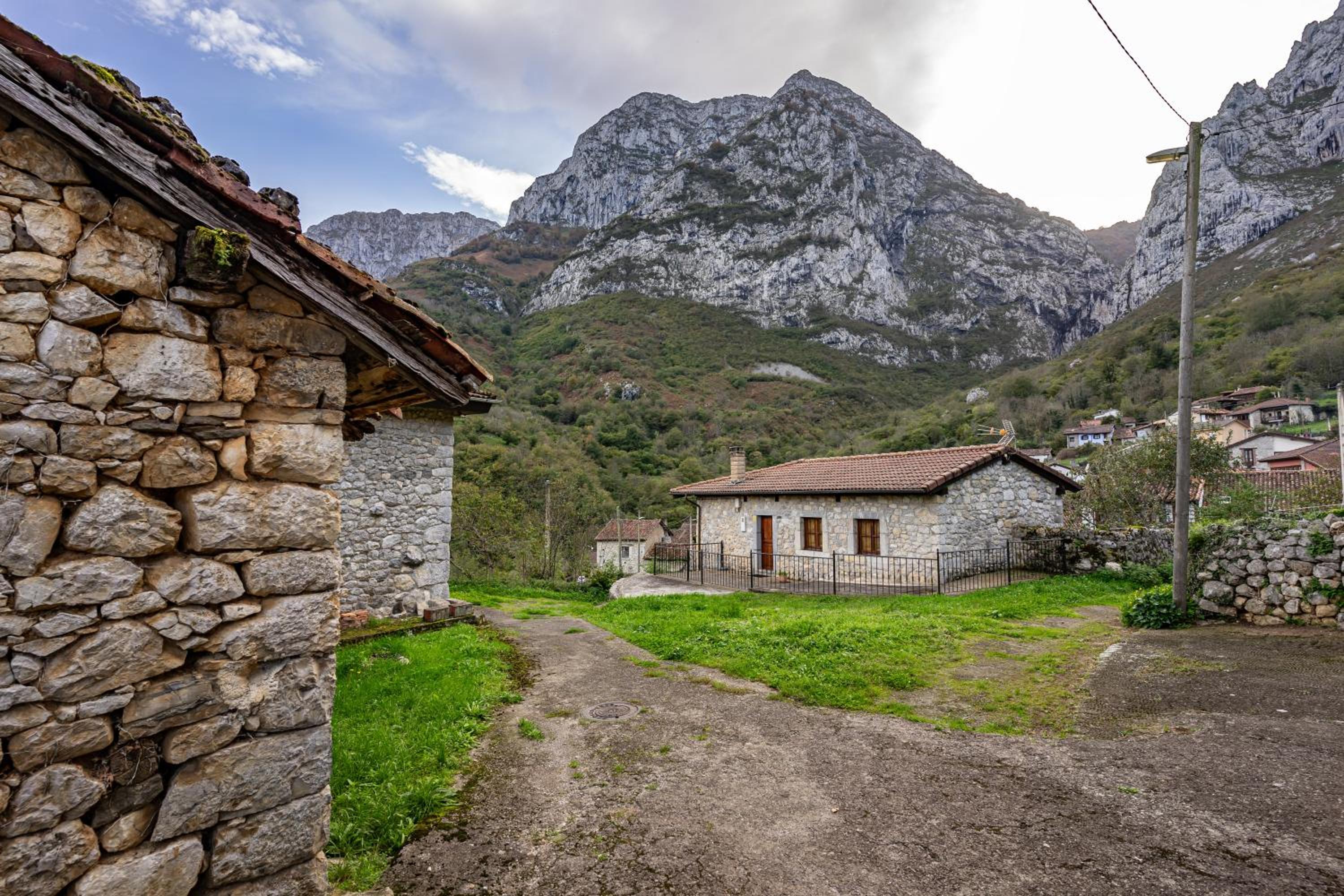 Aguas Bosque Taranes