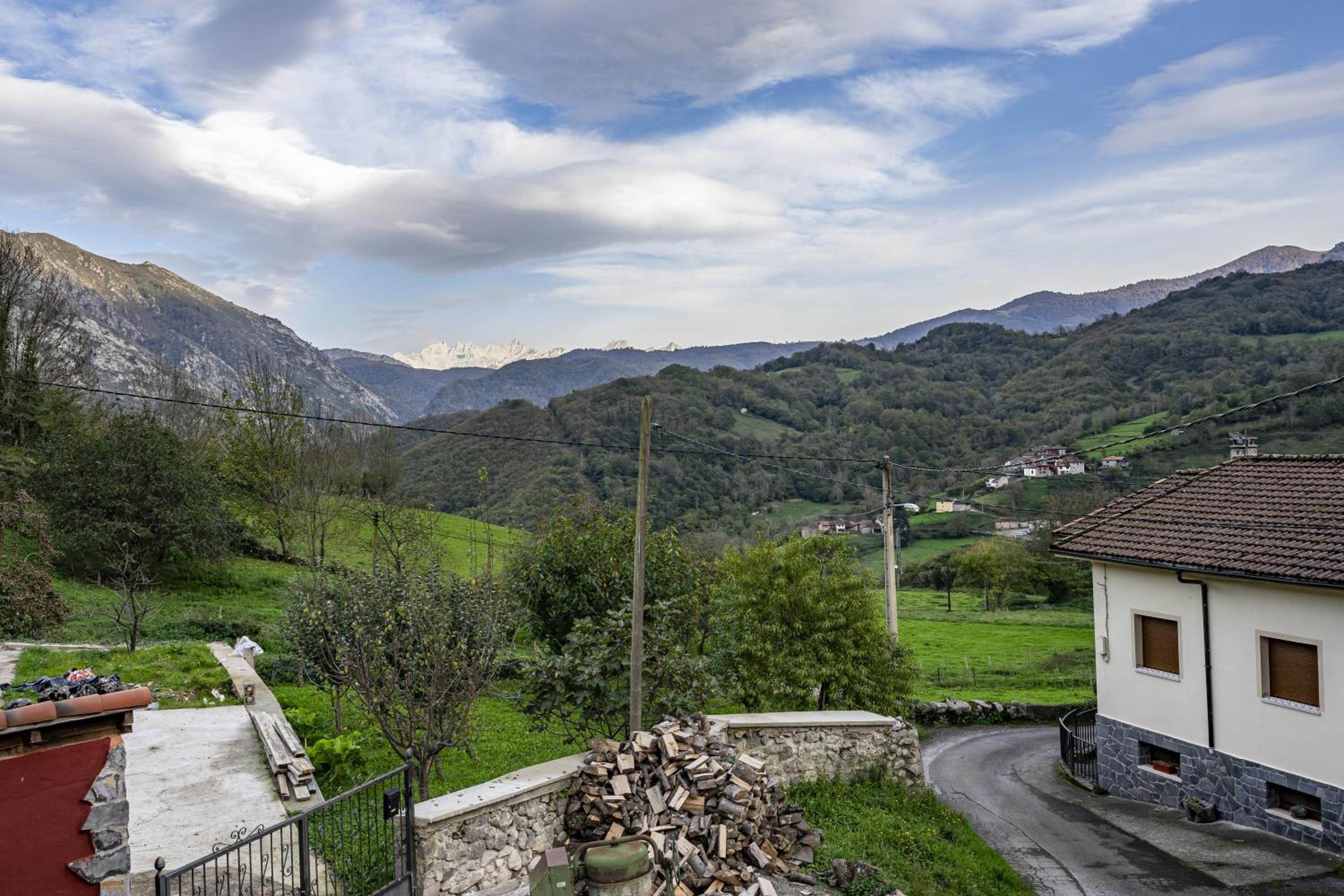Aguas Bosque Taranes