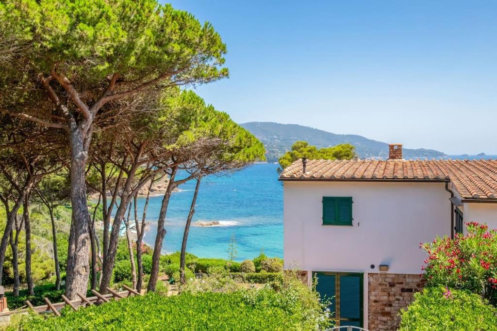 Photo 38