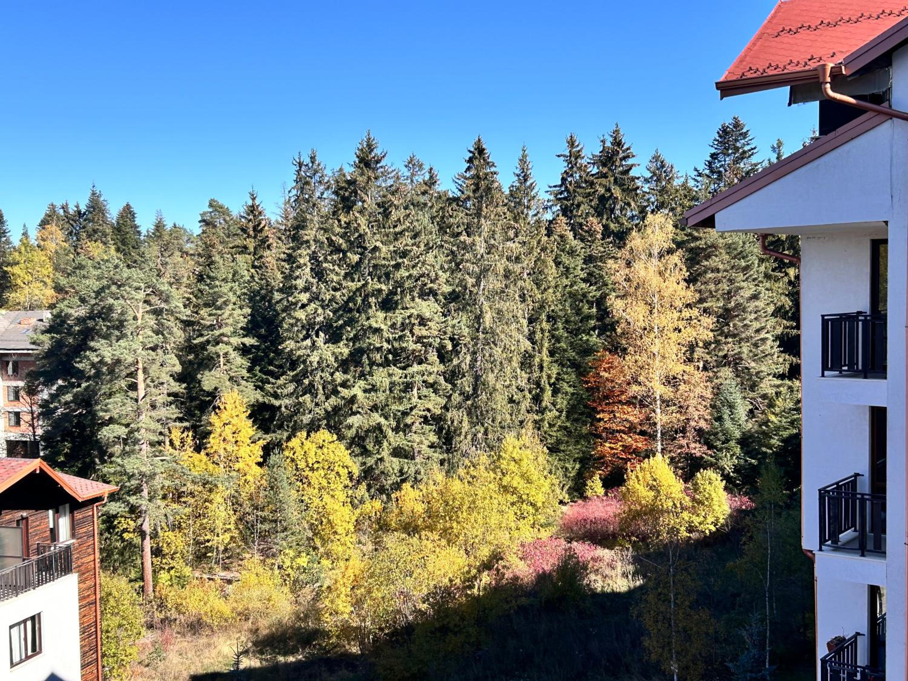 Borovets Gardens B44 Morunov Studio