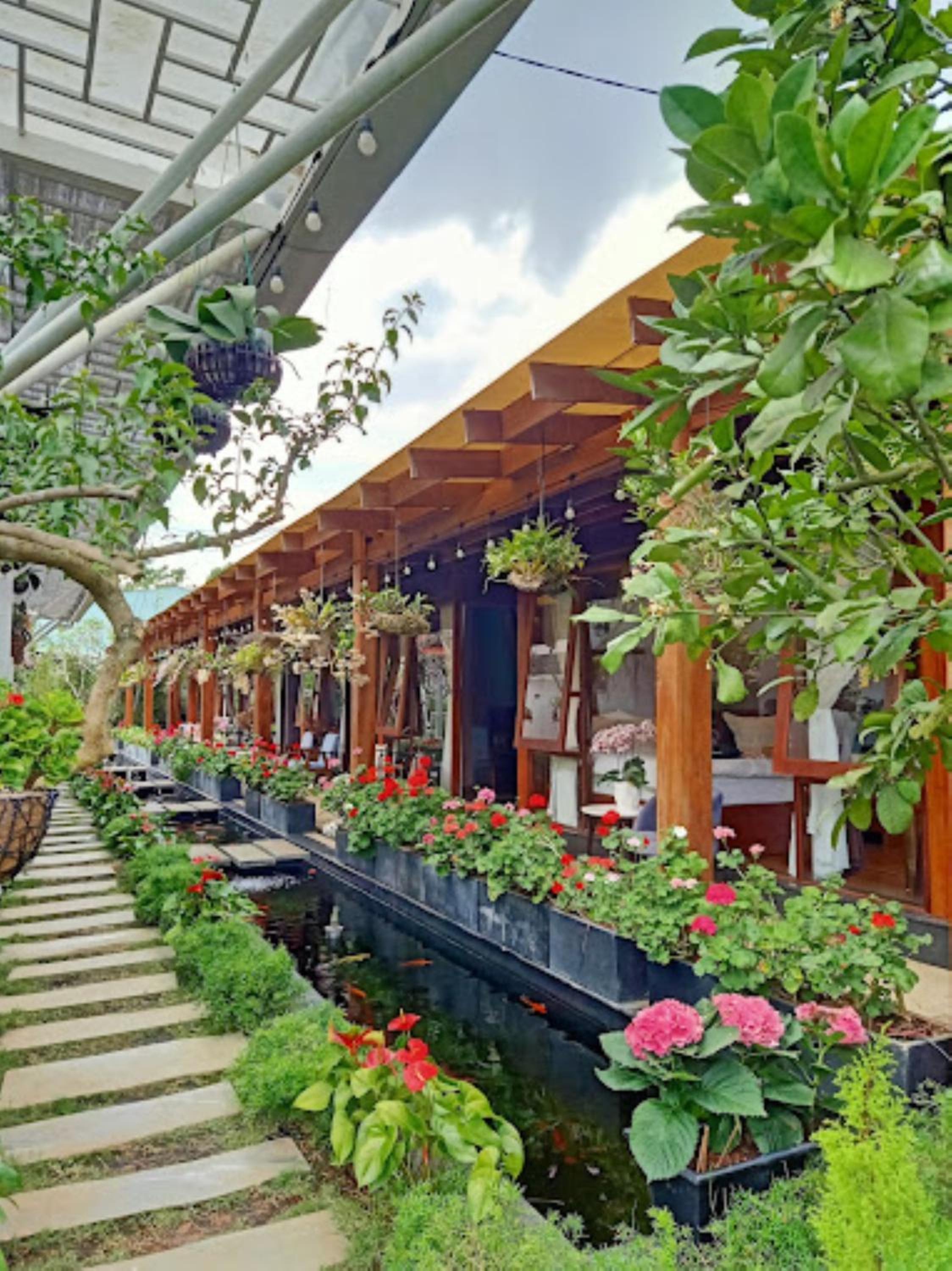 Vườn Trà HomeStay Măng Đen