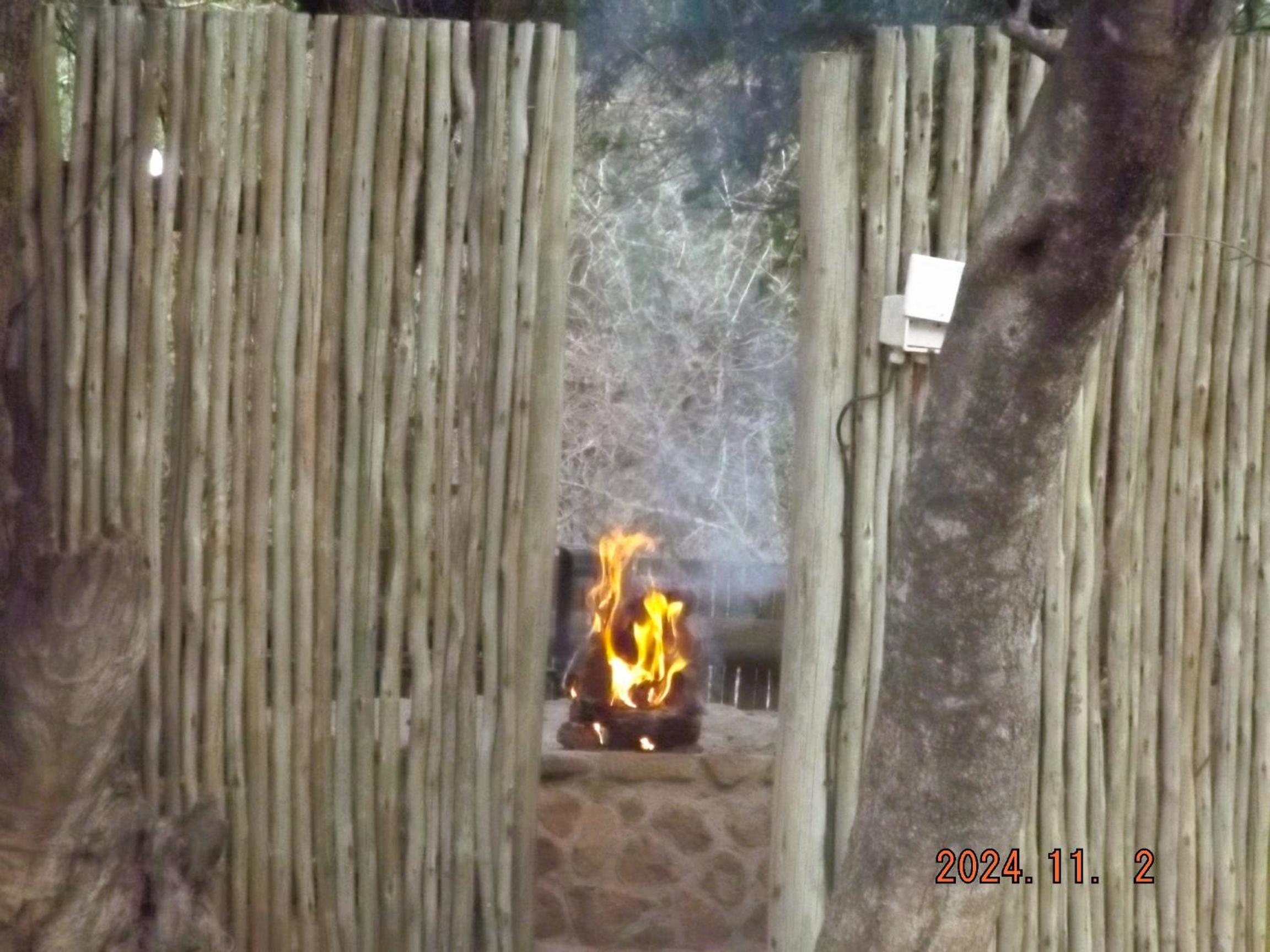 Mabalingwe Nature Reserve - Elephant Lodge - Tjaila