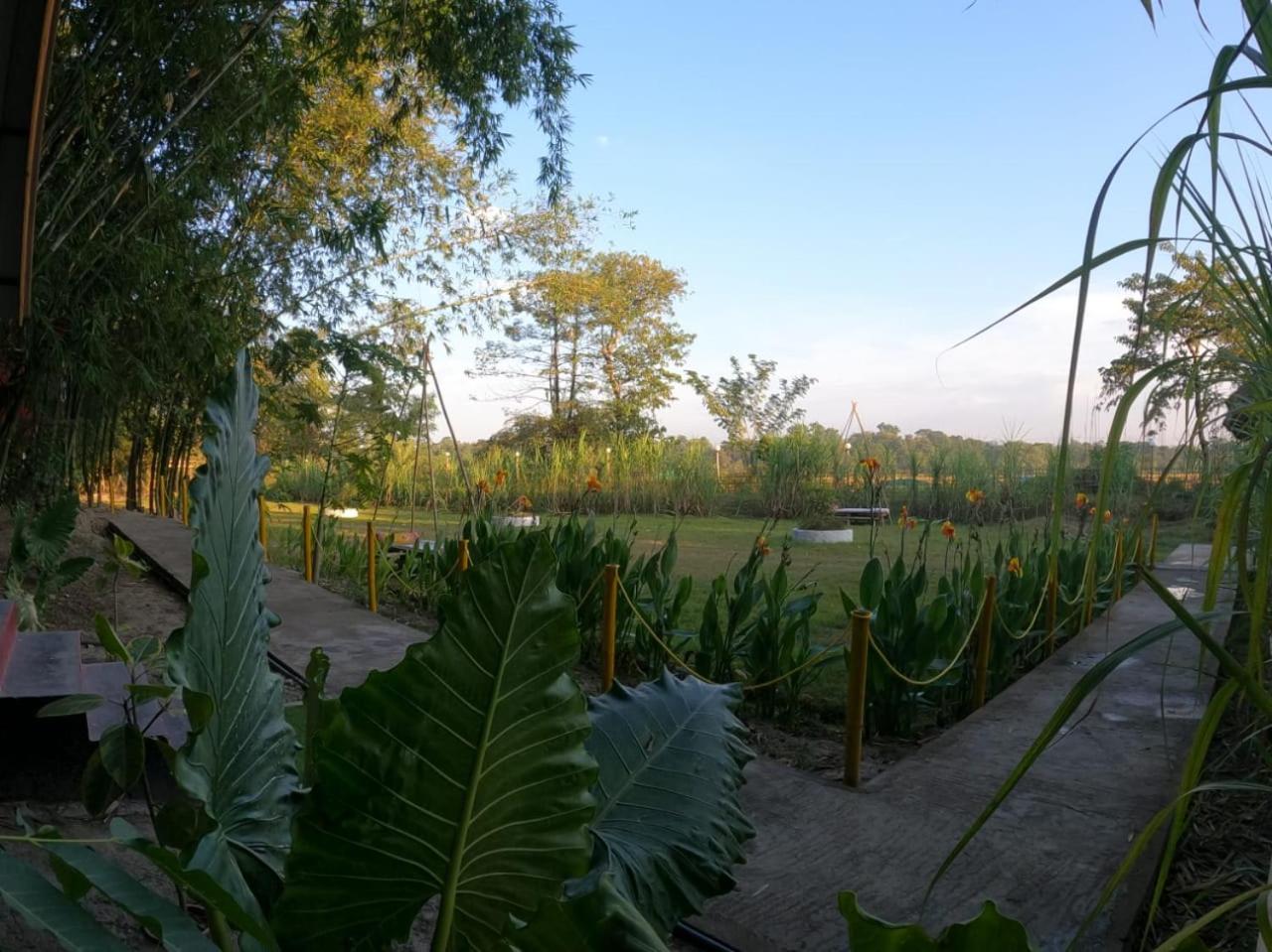 Pobitora Village Eco camp By GRB